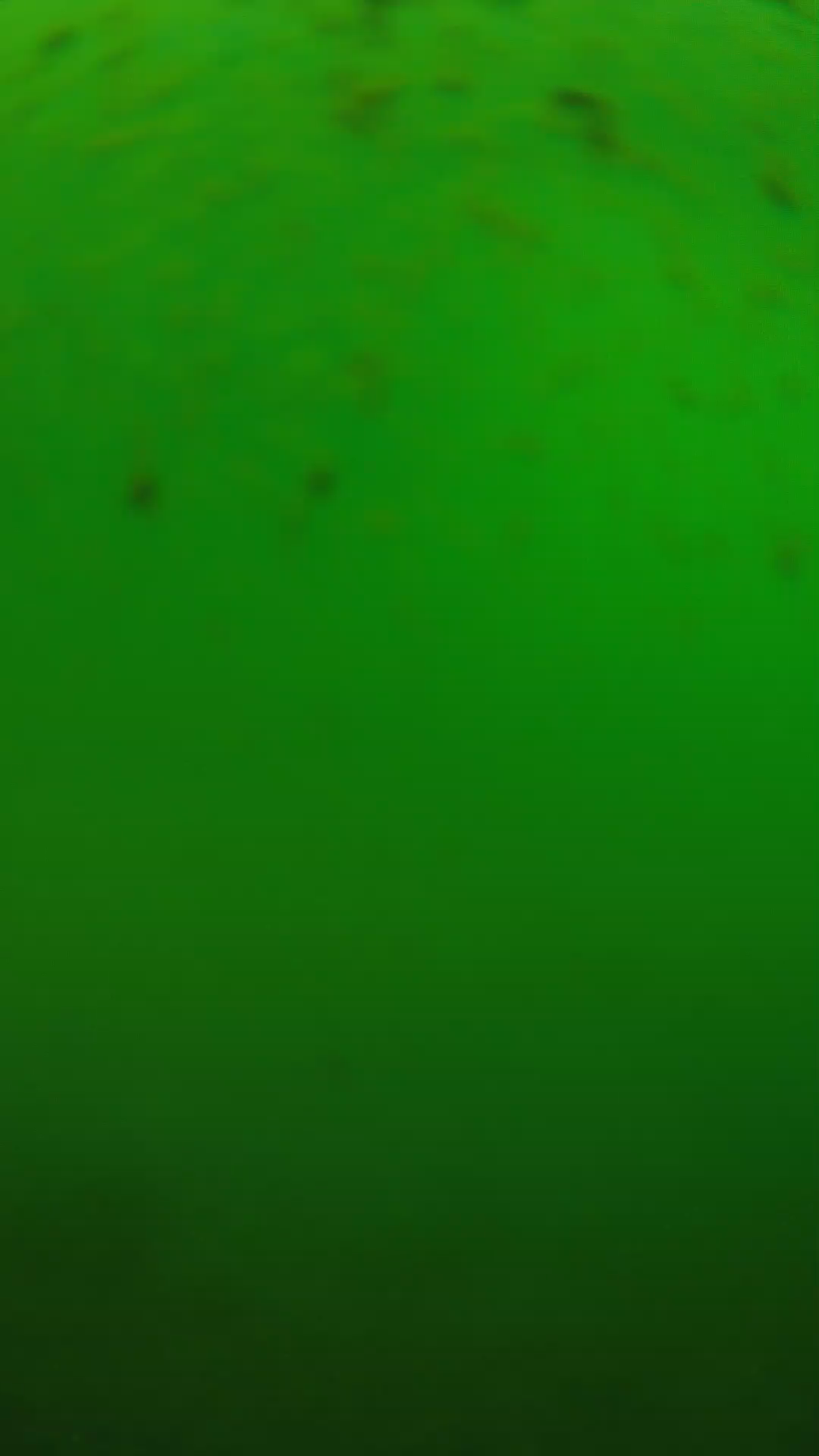 lander_ipcam_20240625130603.png