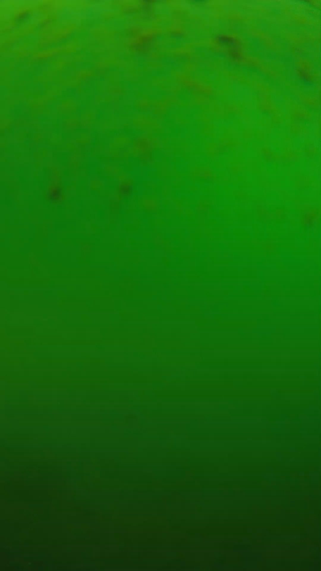 lander_ipcam_20240625130604.png