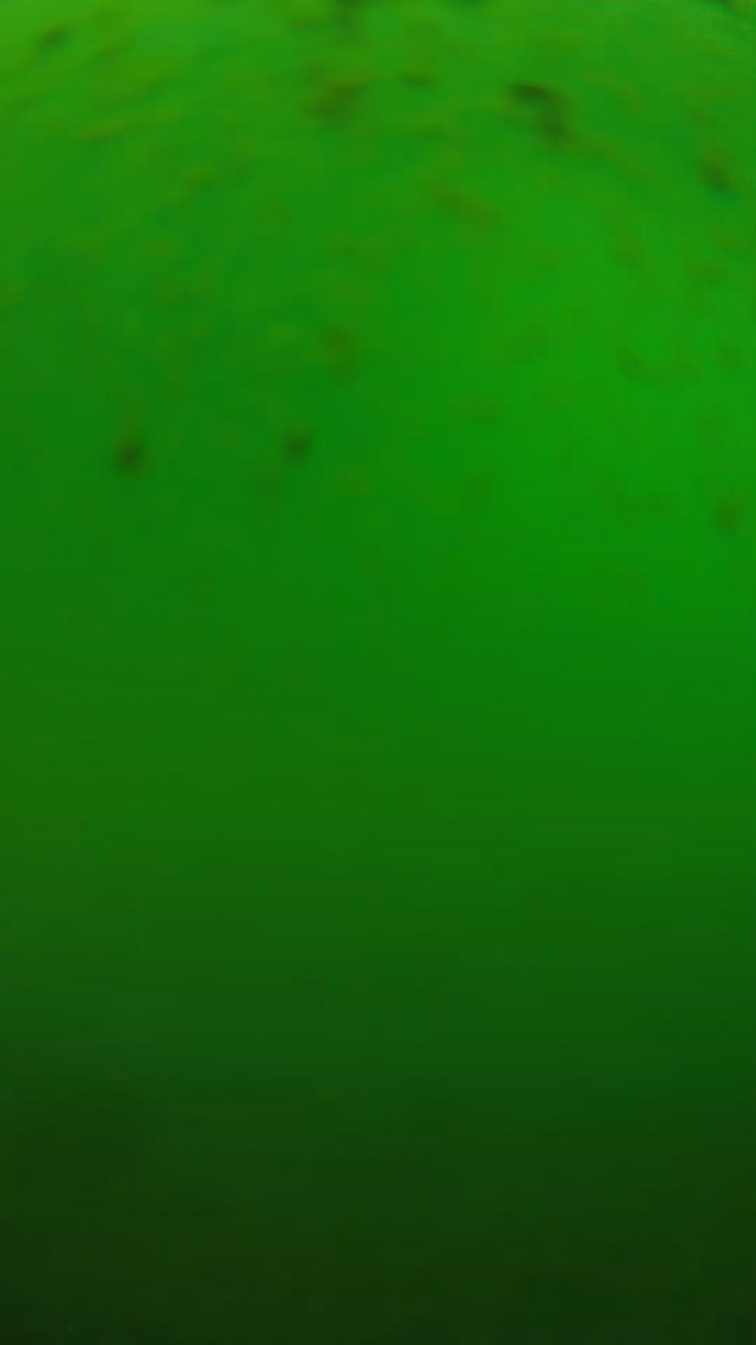 lander_ipcam_20240625130605.png