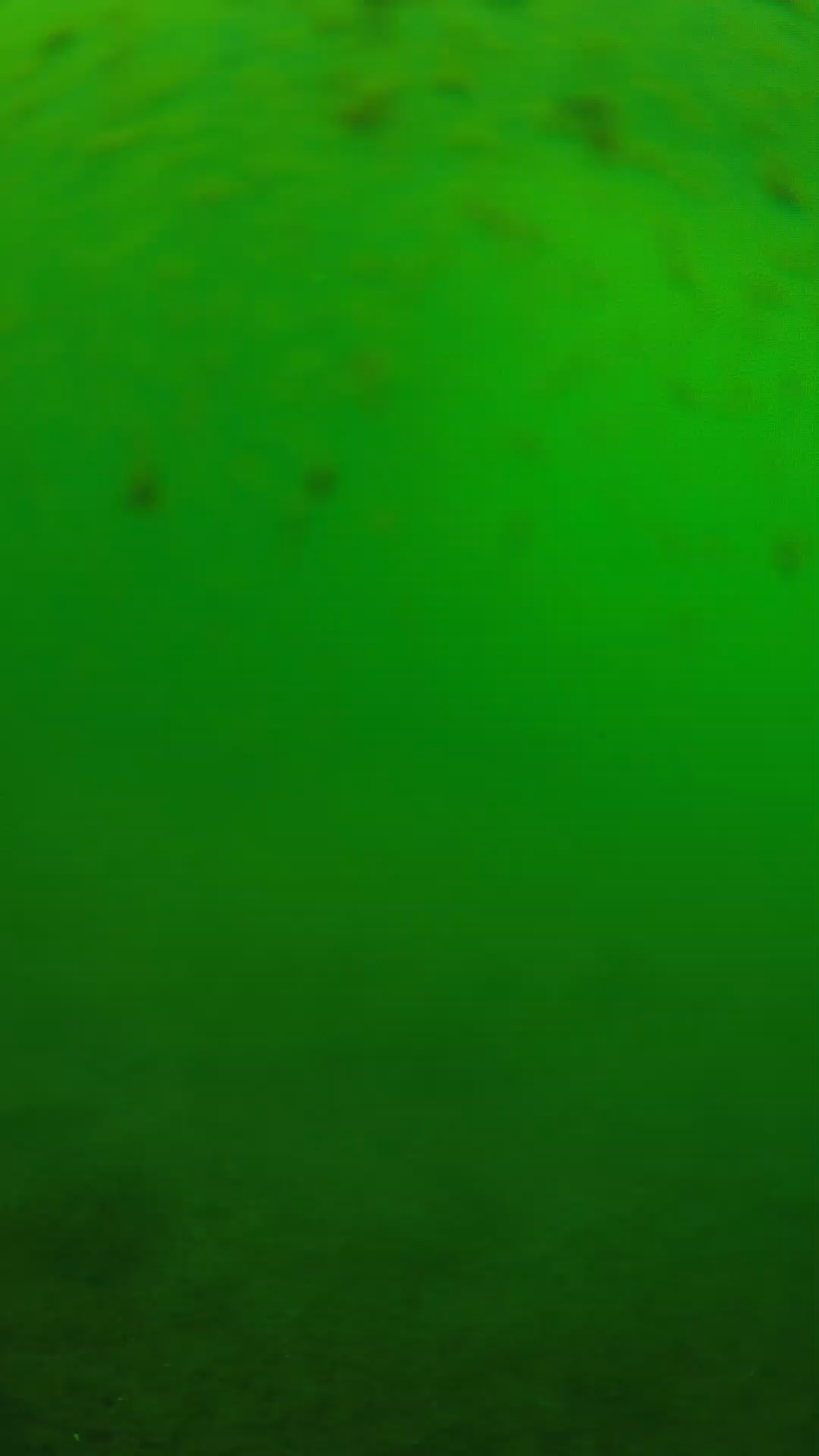 lander_ipcam_20240625133538.png