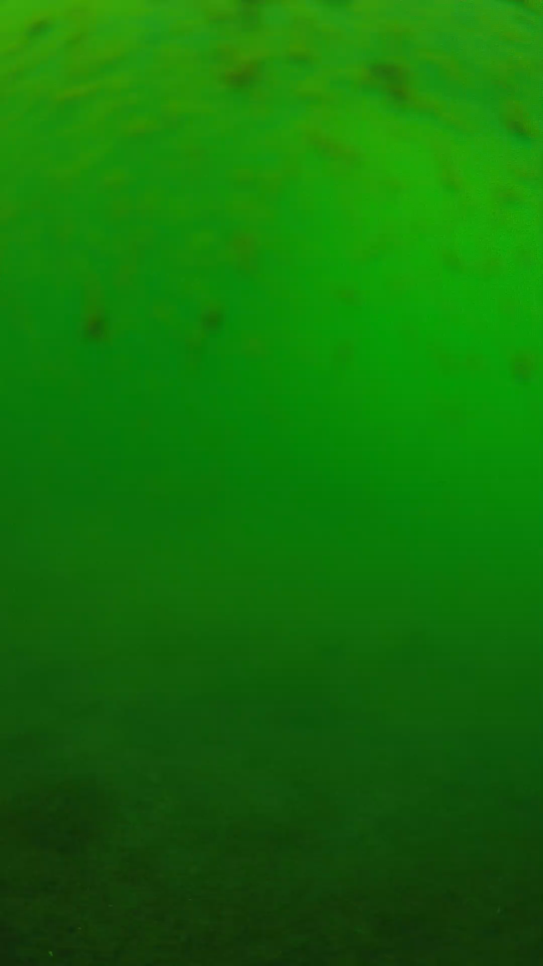 lander_ipcam_20240625133539.png