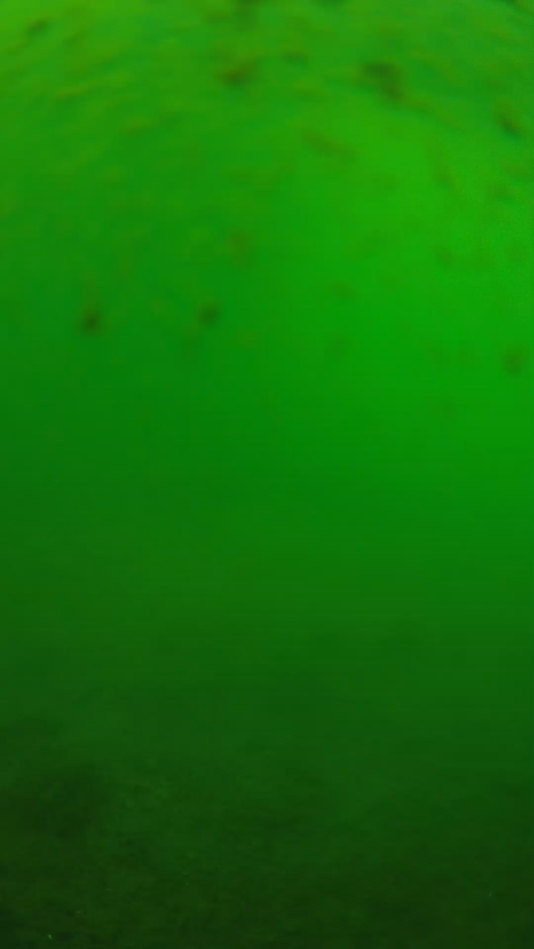 lander_ipcam_20240625133541.png