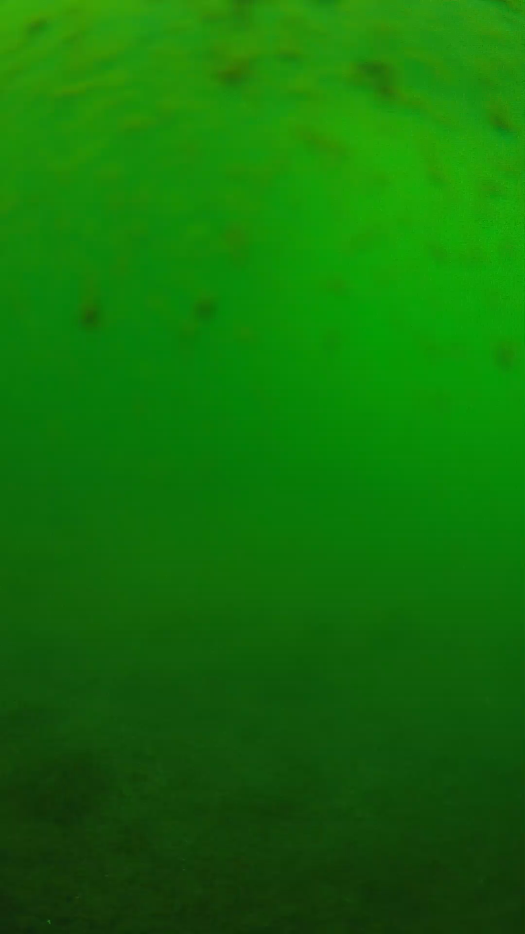 lander_ipcam_20240625133543.png