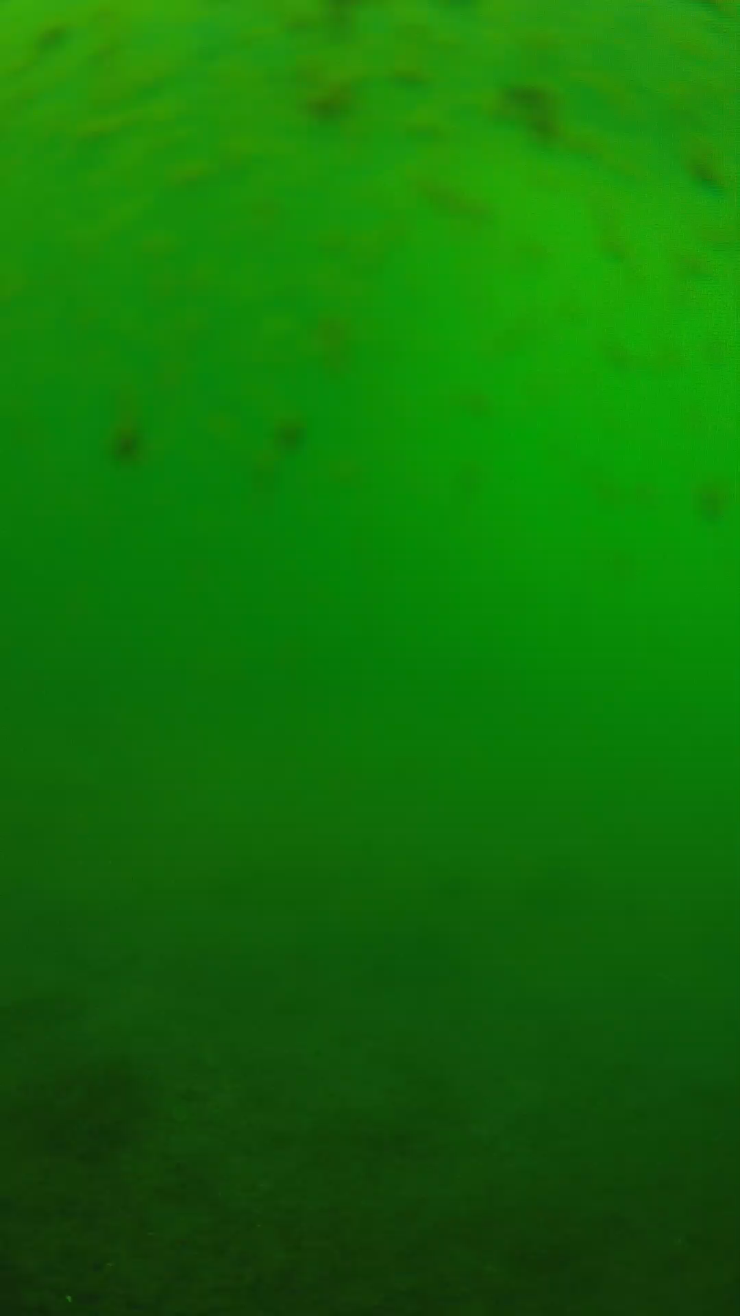 lander_ipcam_20240625133544.png