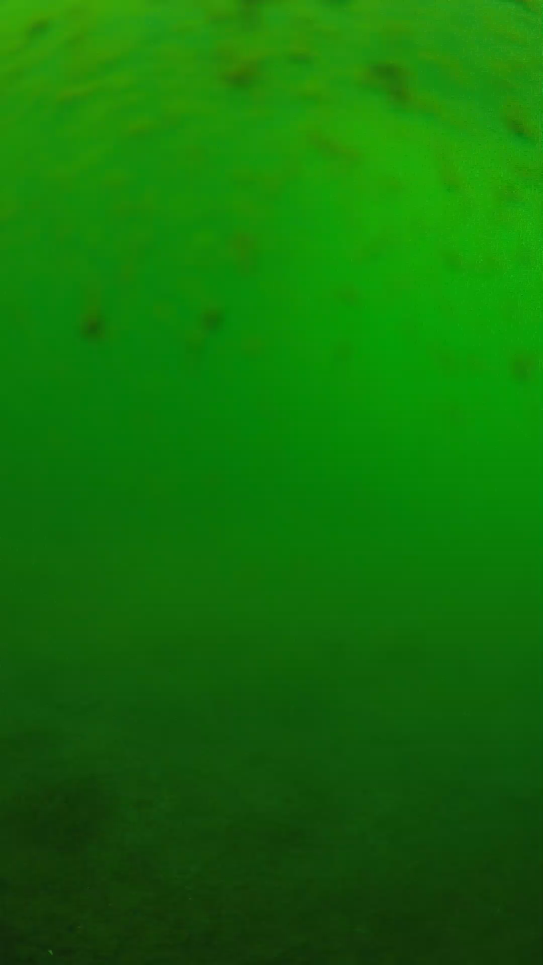 lander_ipcam_20240625133545.png