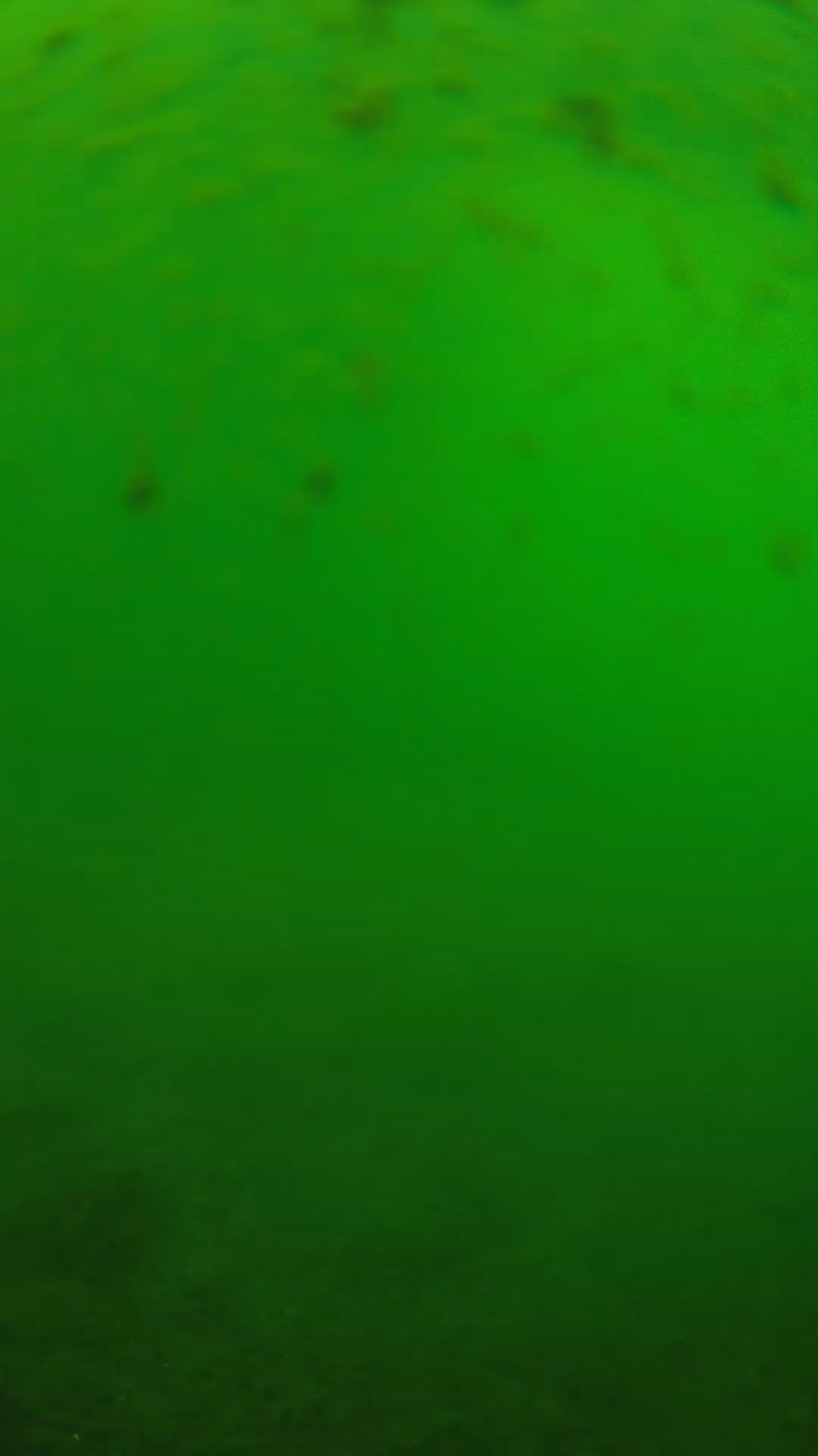 lander_ipcam_20240625133546.png
