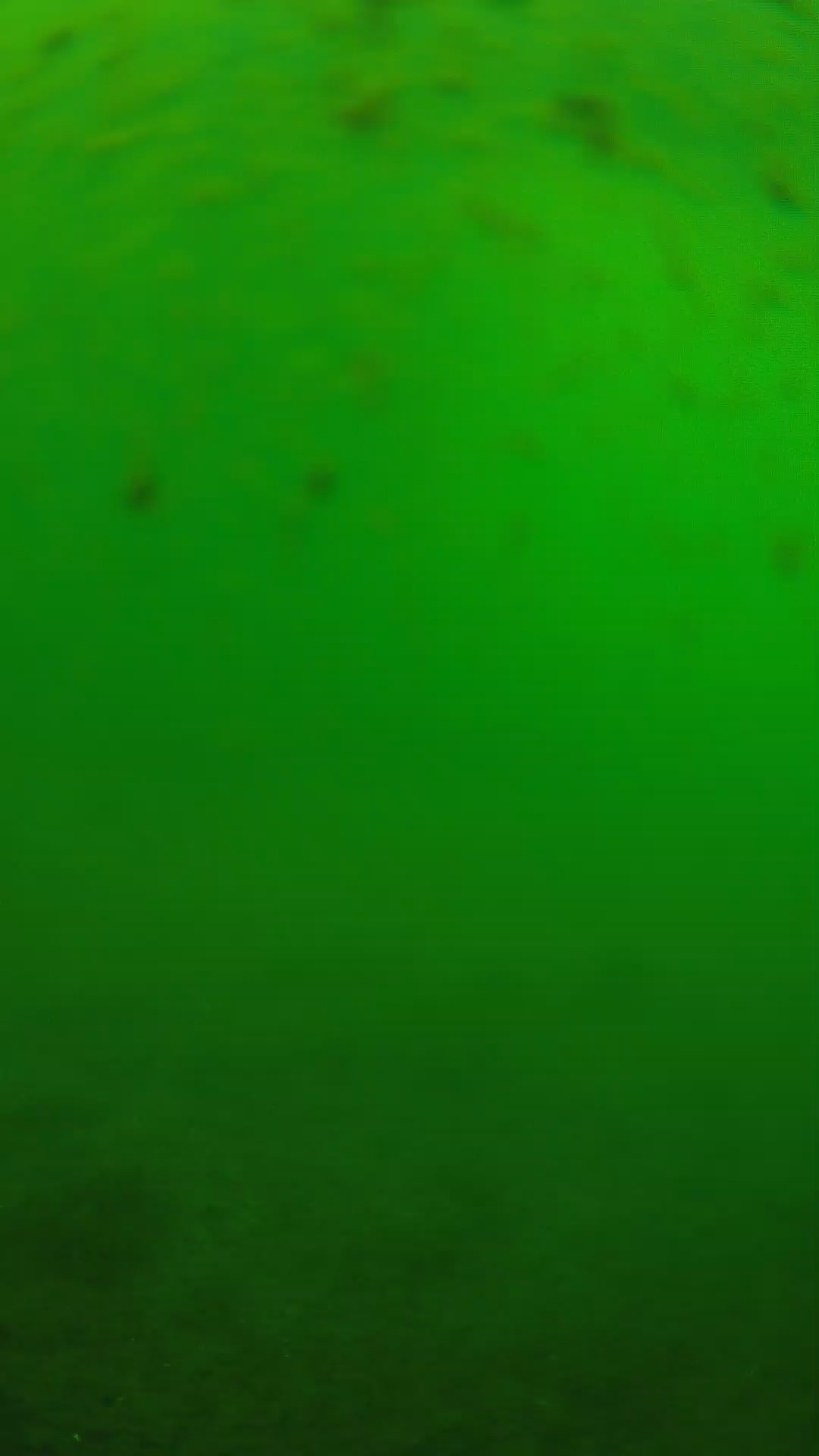 lander_ipcam_20240625133549.png