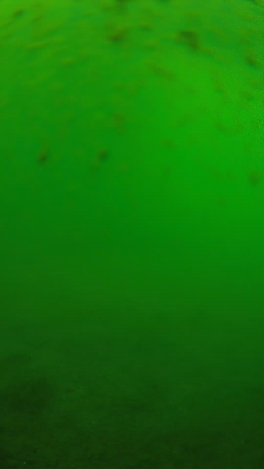 lander_ipcam_20240625133552.png