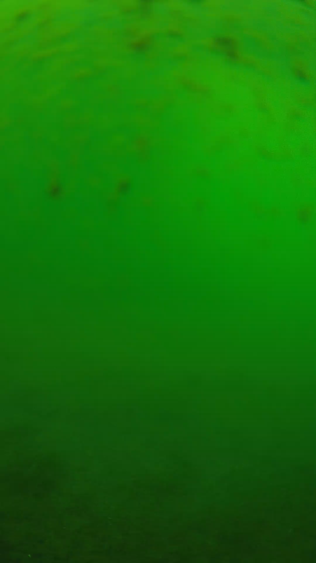 lander_ipcam_20240625133557.png