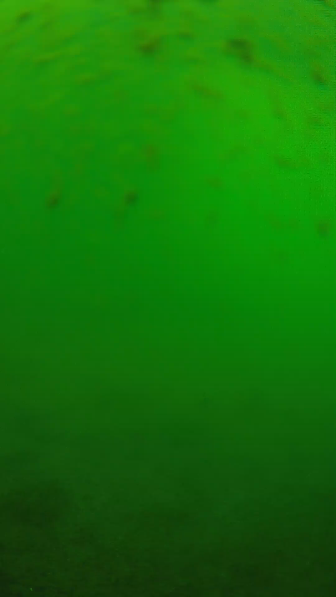 lander_ipcam_20240625133601.png