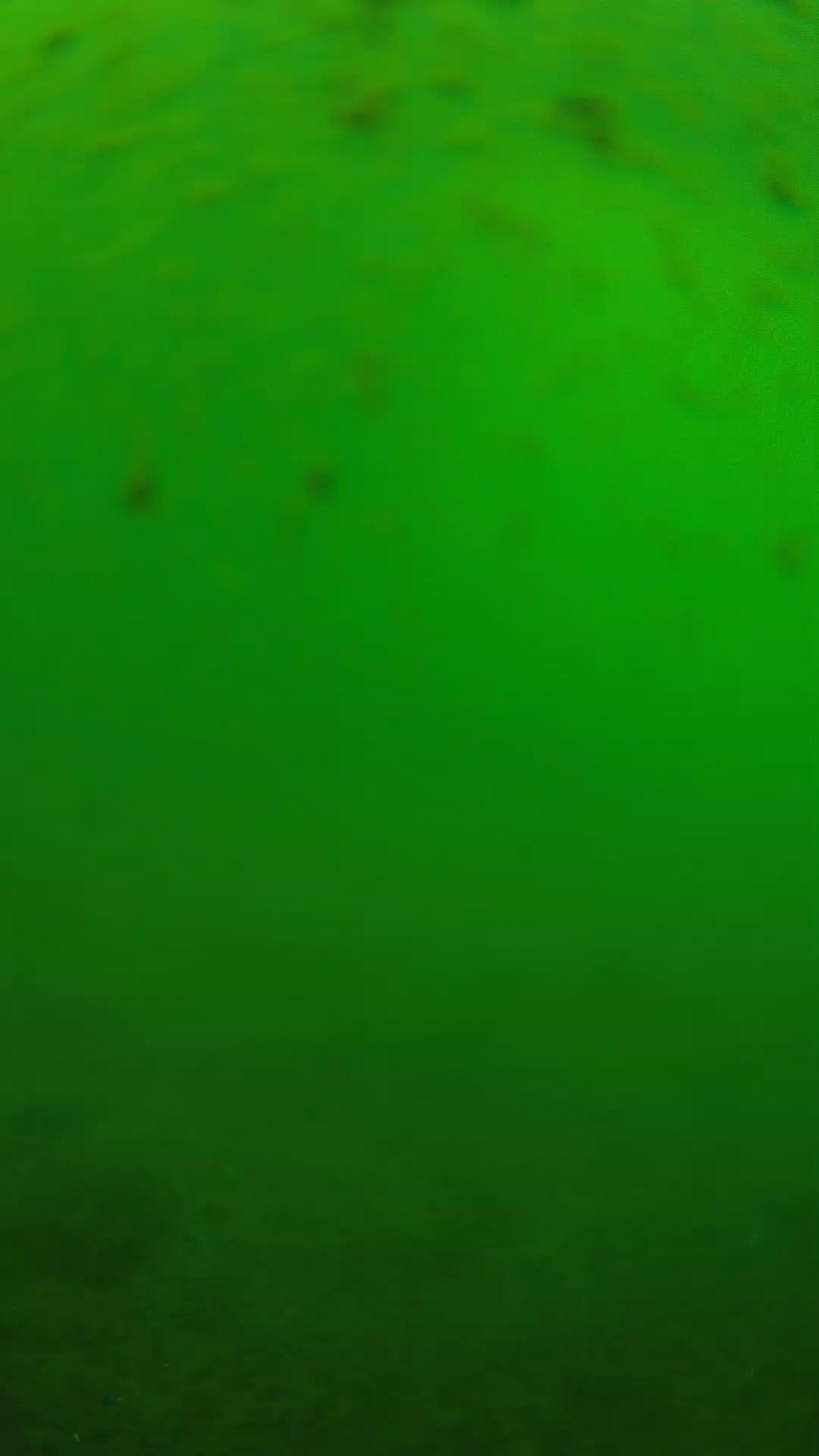 lander_ipcam_20240625133603.png
