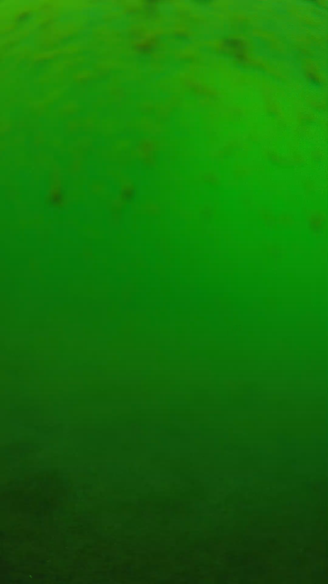 lander_ipcam_20240625133604.png