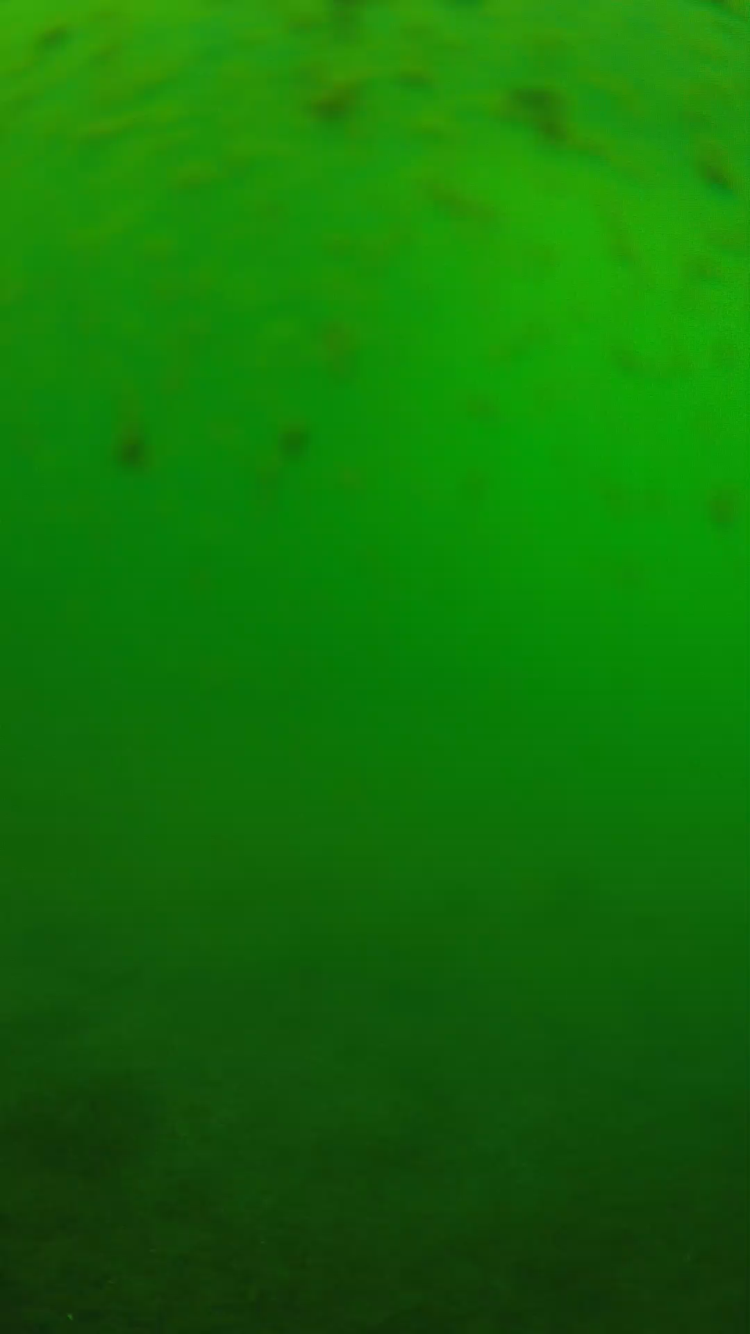 lander_ipcam_20240625133606.png