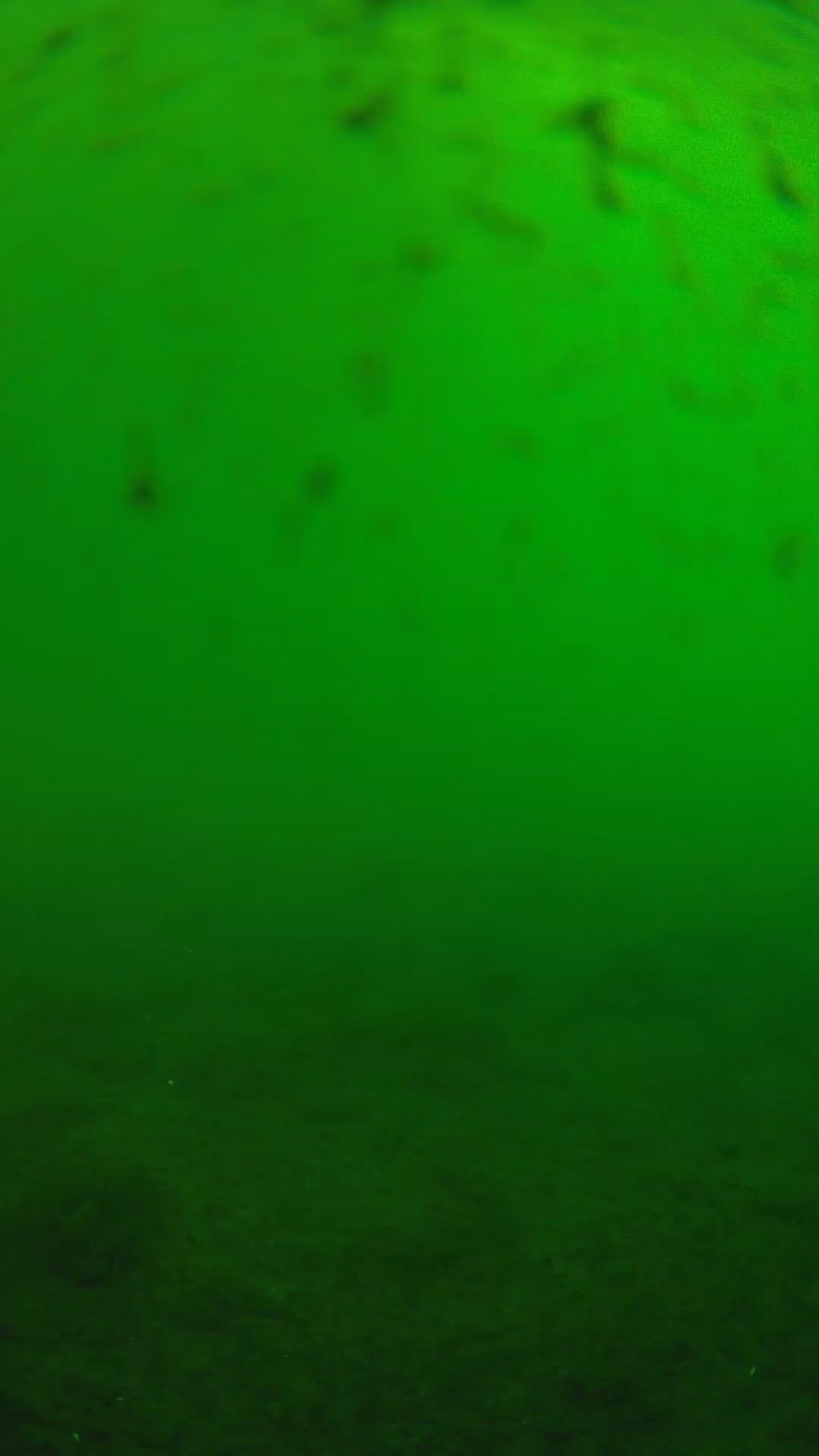 lander_ipcam_20240625153544.png
