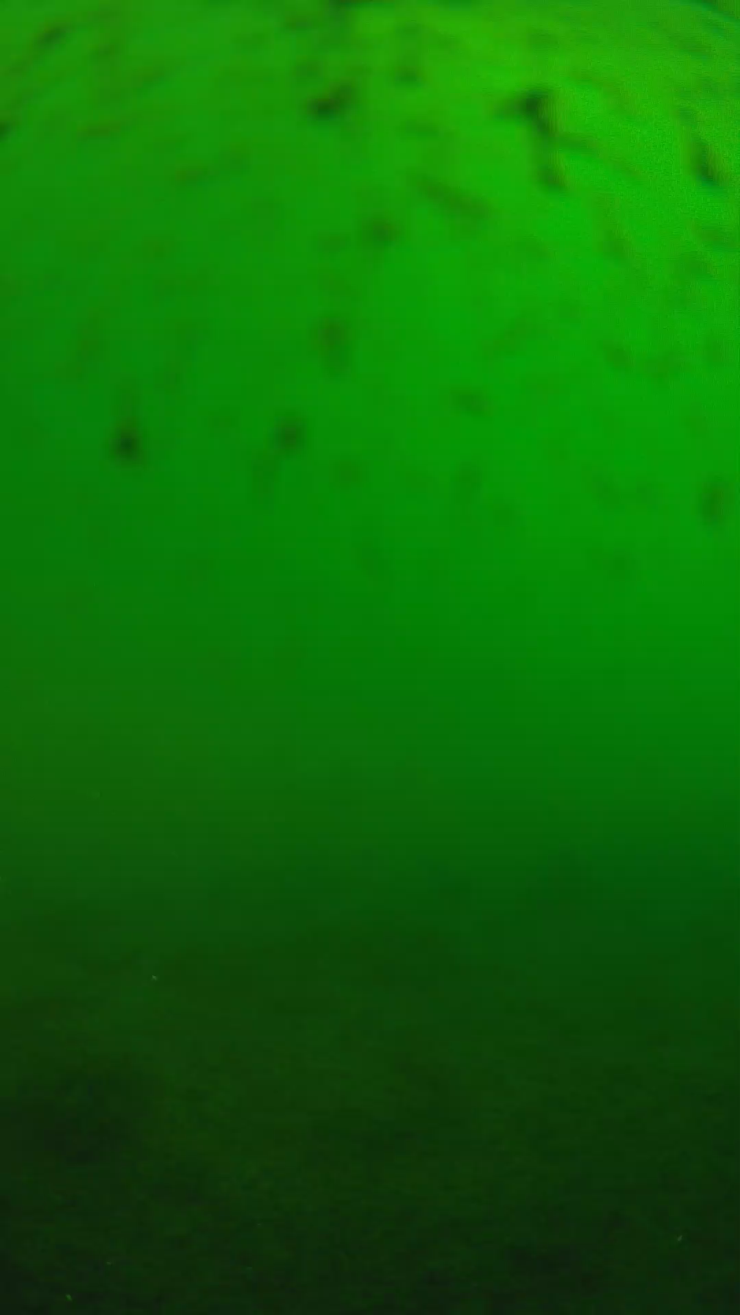 lander_ipcam_20240625160539.png