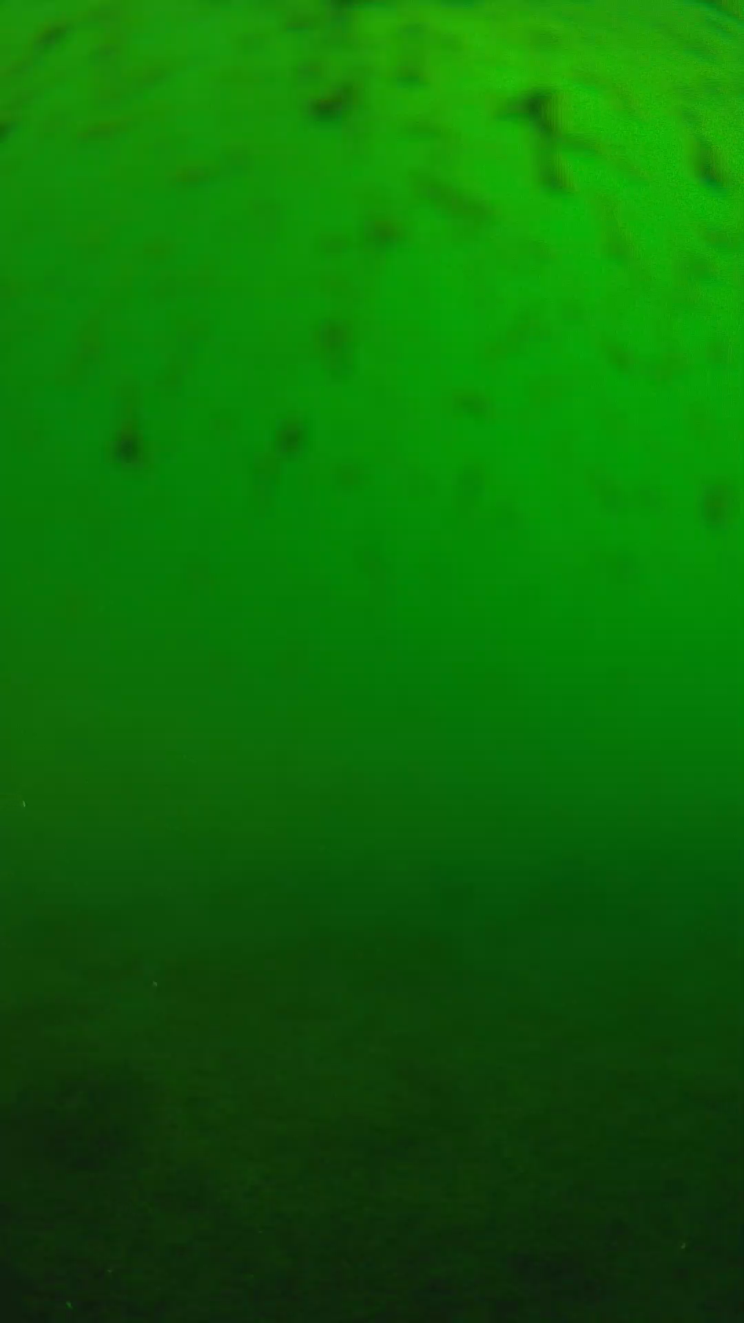 lander_ipcam_20240625160540.png