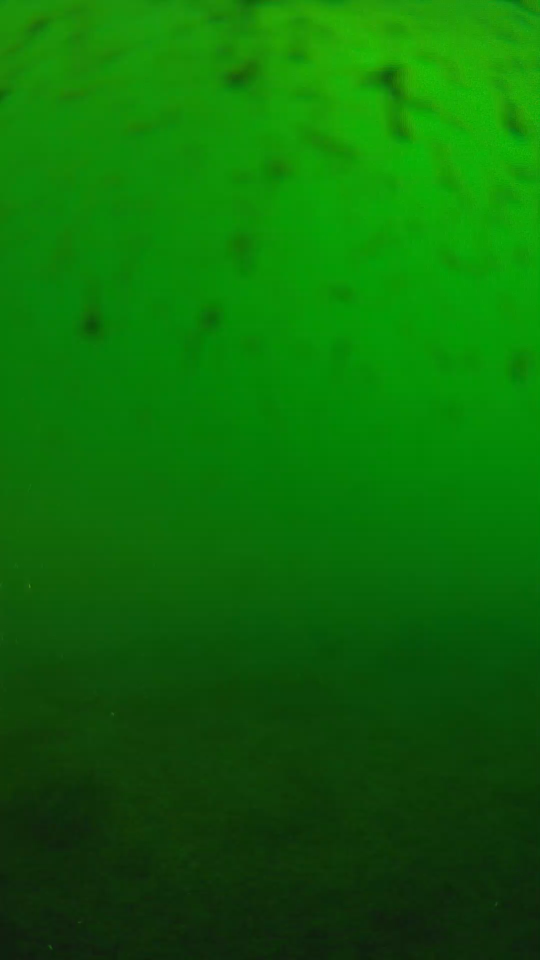lander_ipcam_20240625160541.png