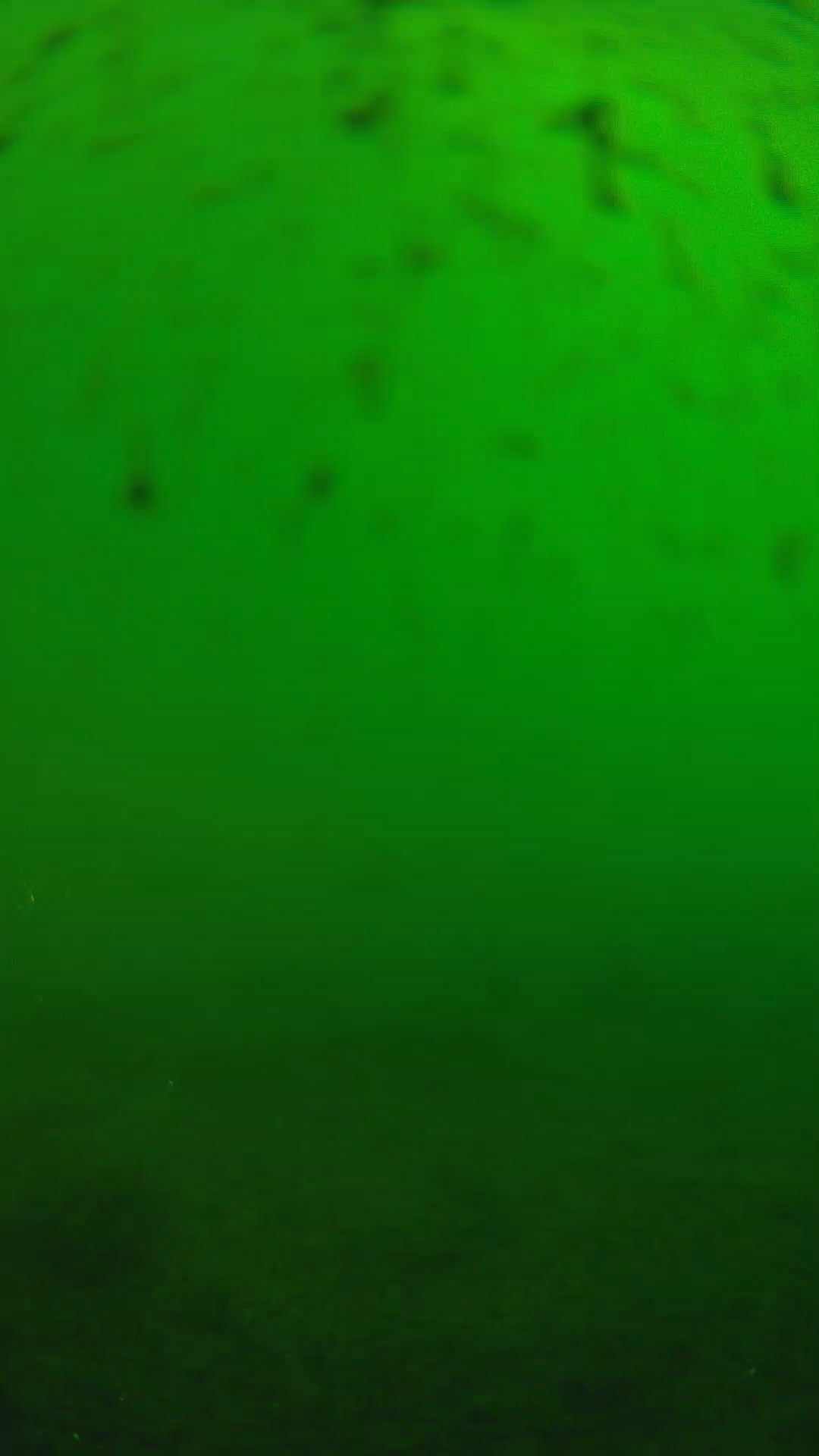 lander_ipcam_20240625160543.png