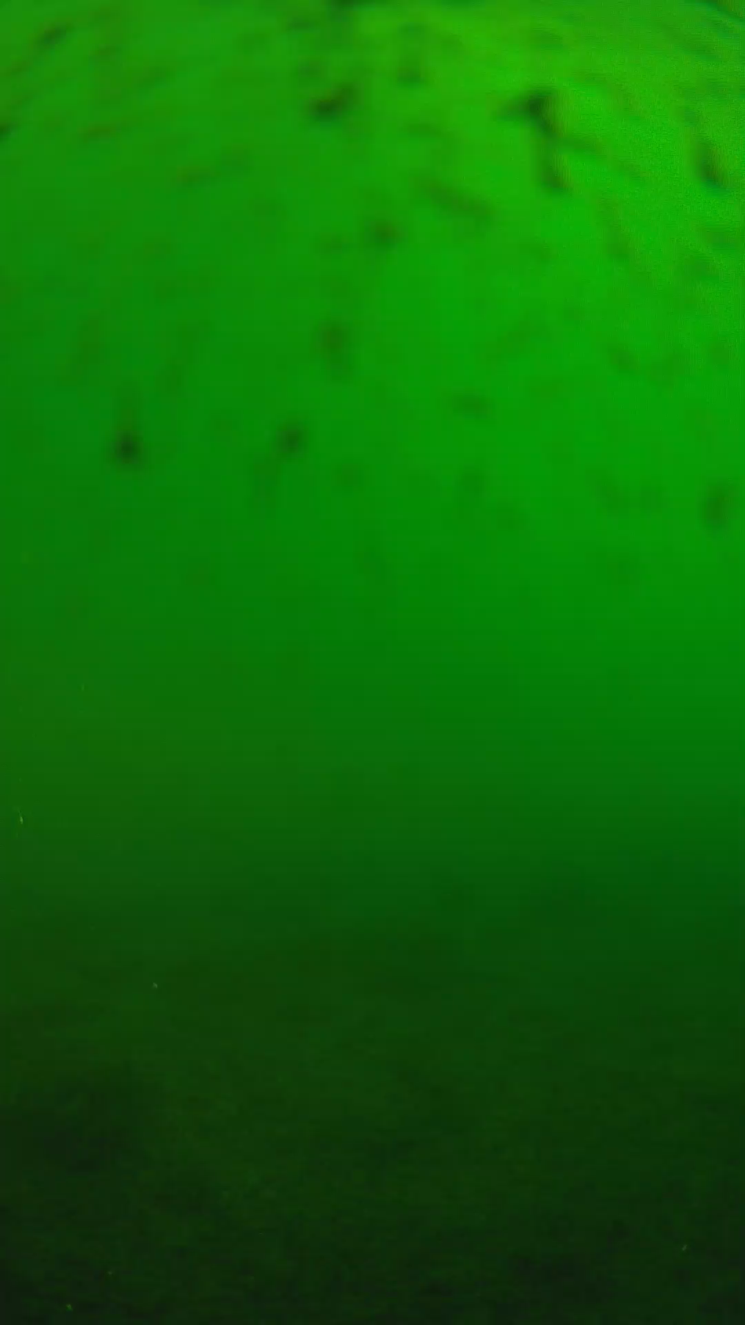 lander_ipcam_20240625160544.png