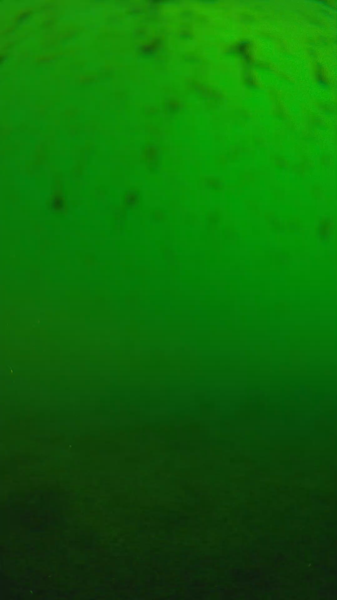 lander_ipcam_20240625160545.png