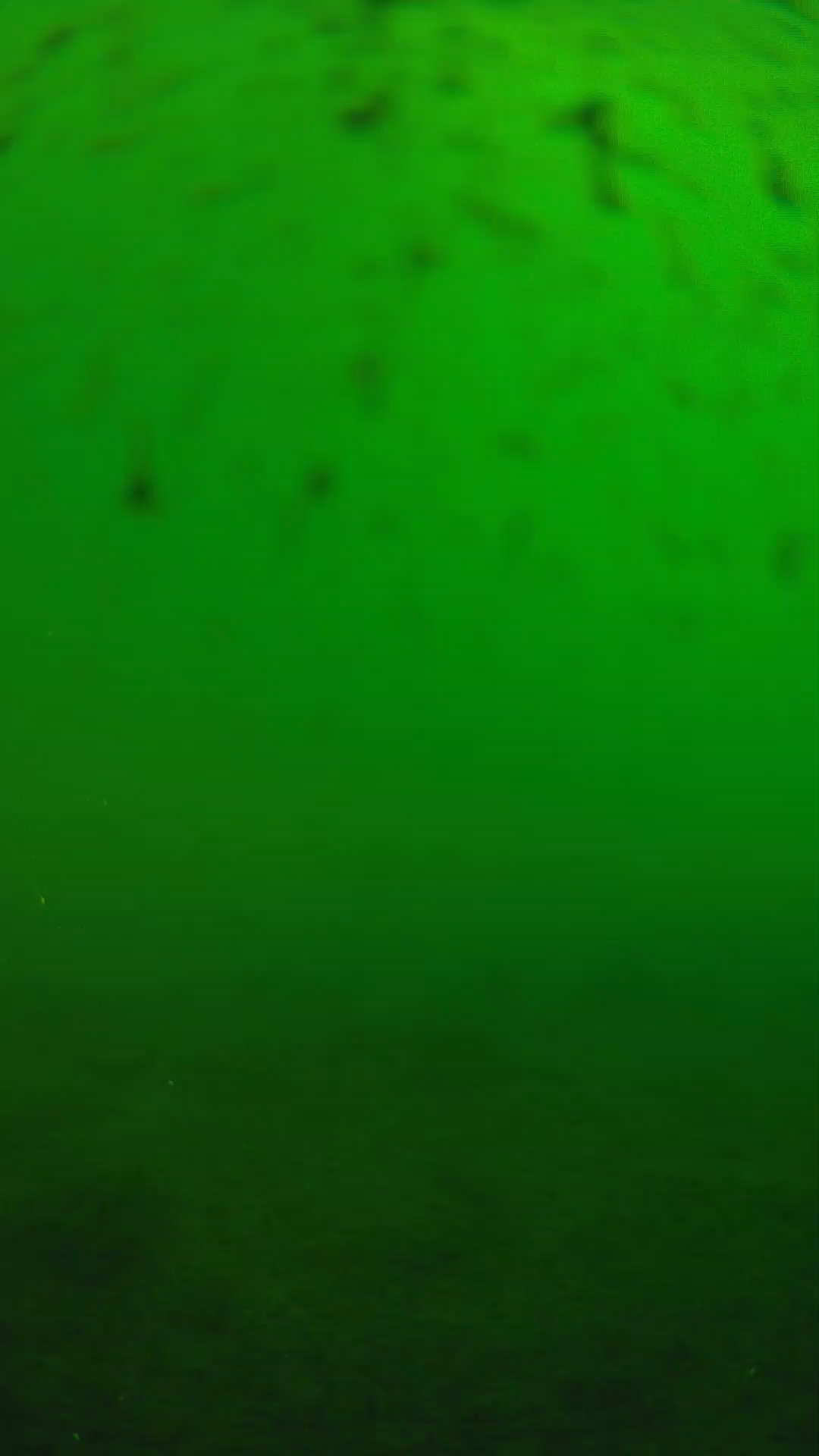 lander_ipcam_20240625160546.png