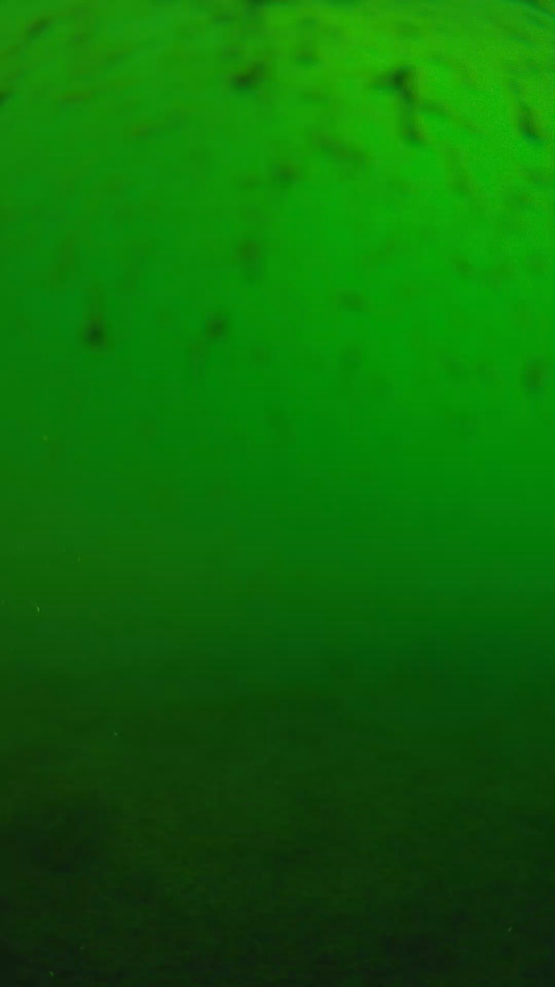 lander_ipcam_20240625160547.png