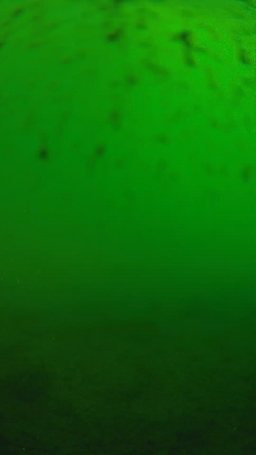 lander_ipcam_20240625160549.png