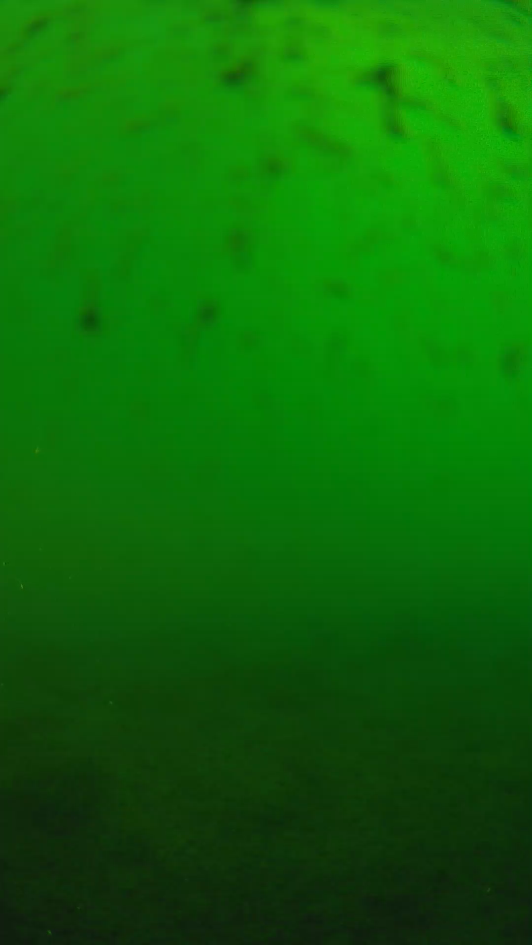 lander_ipcam_20240625160550.png