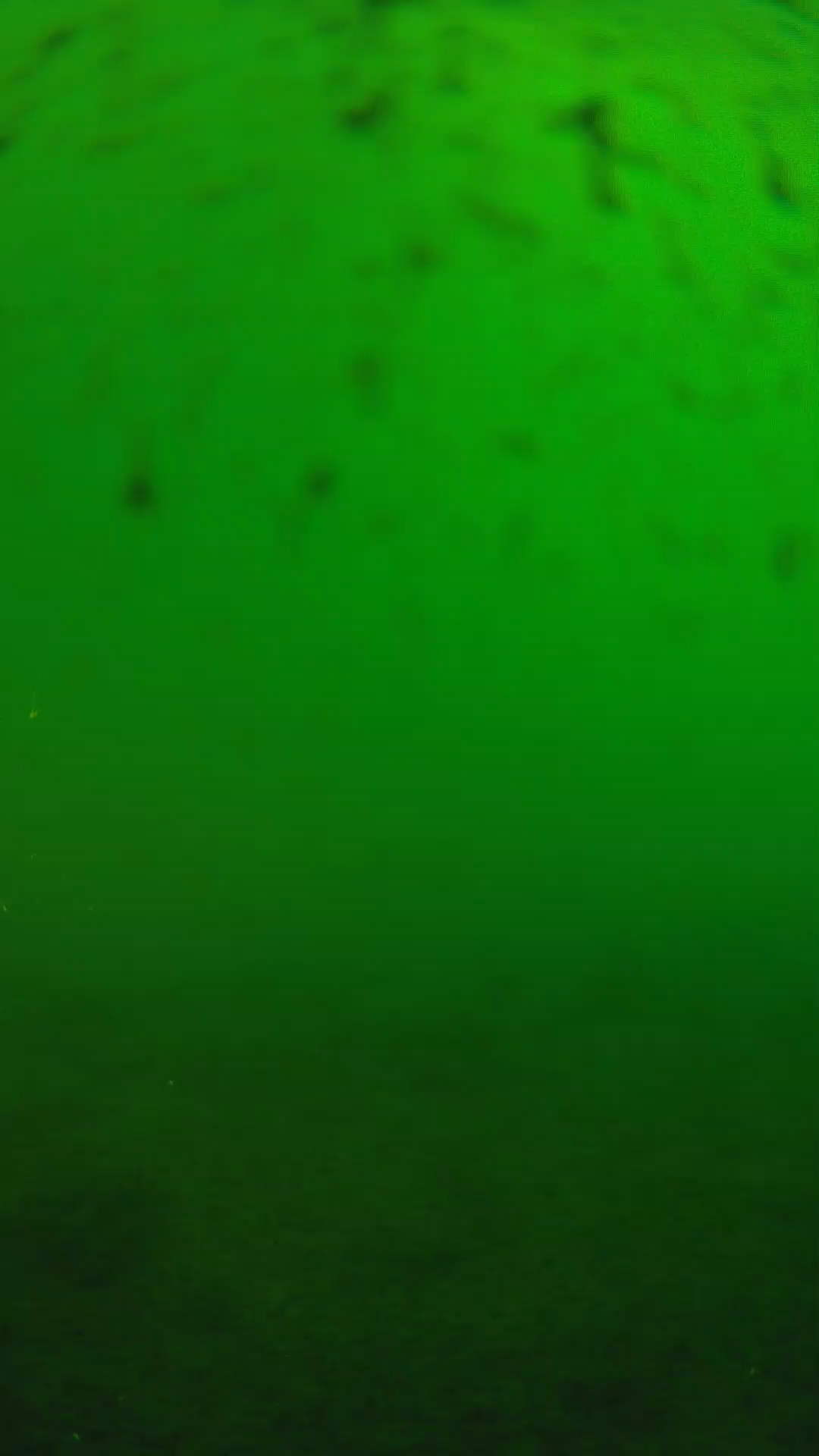 lander_ipcam_20240625160551.png
