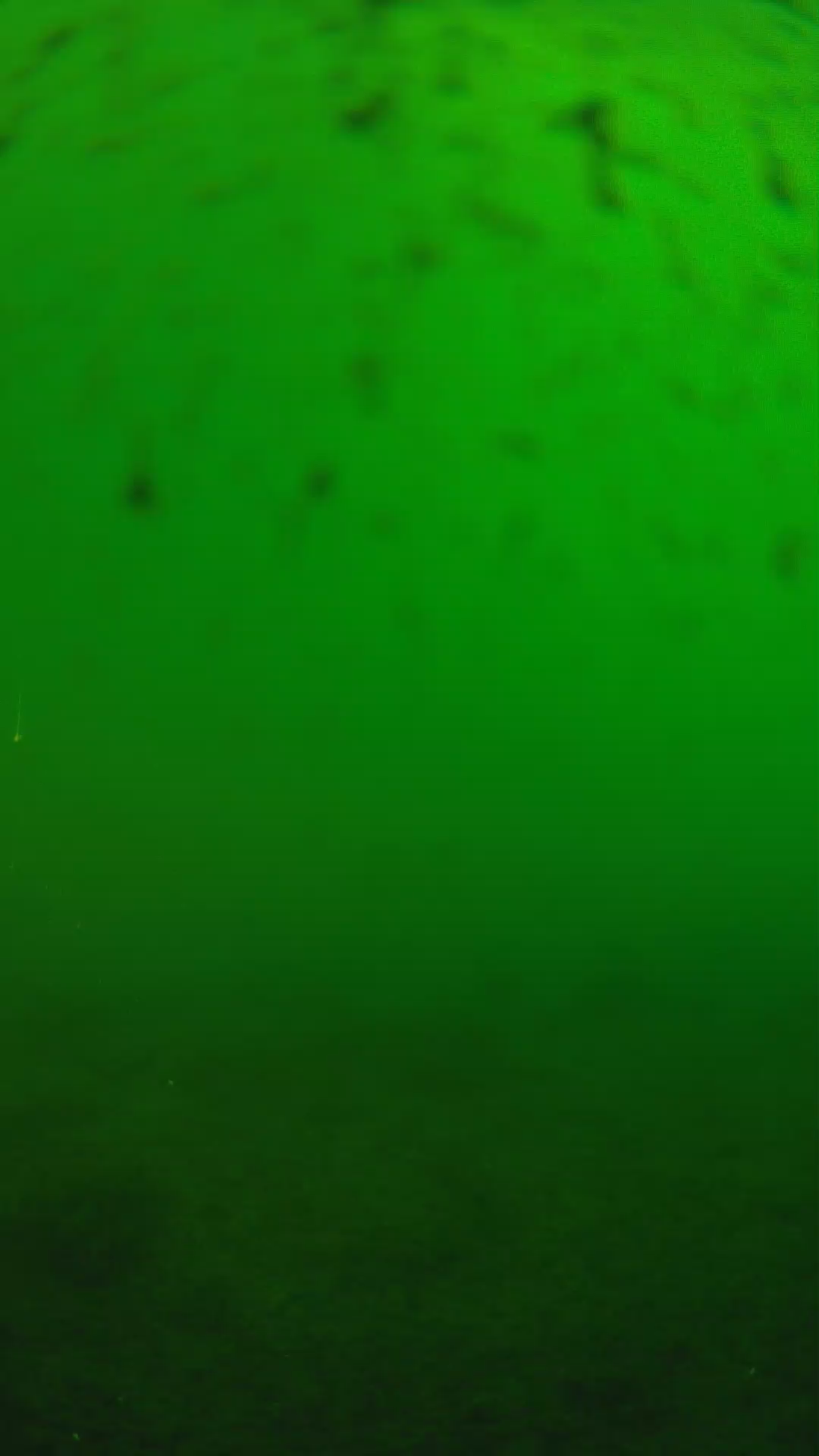 lander_ipcam_20240625160552.png
