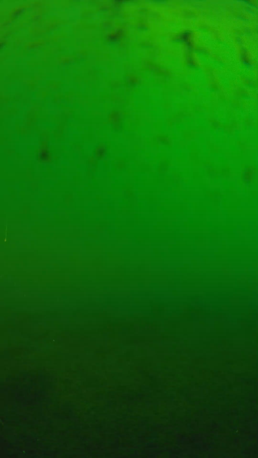 lander_ipcam_20240625160553.png