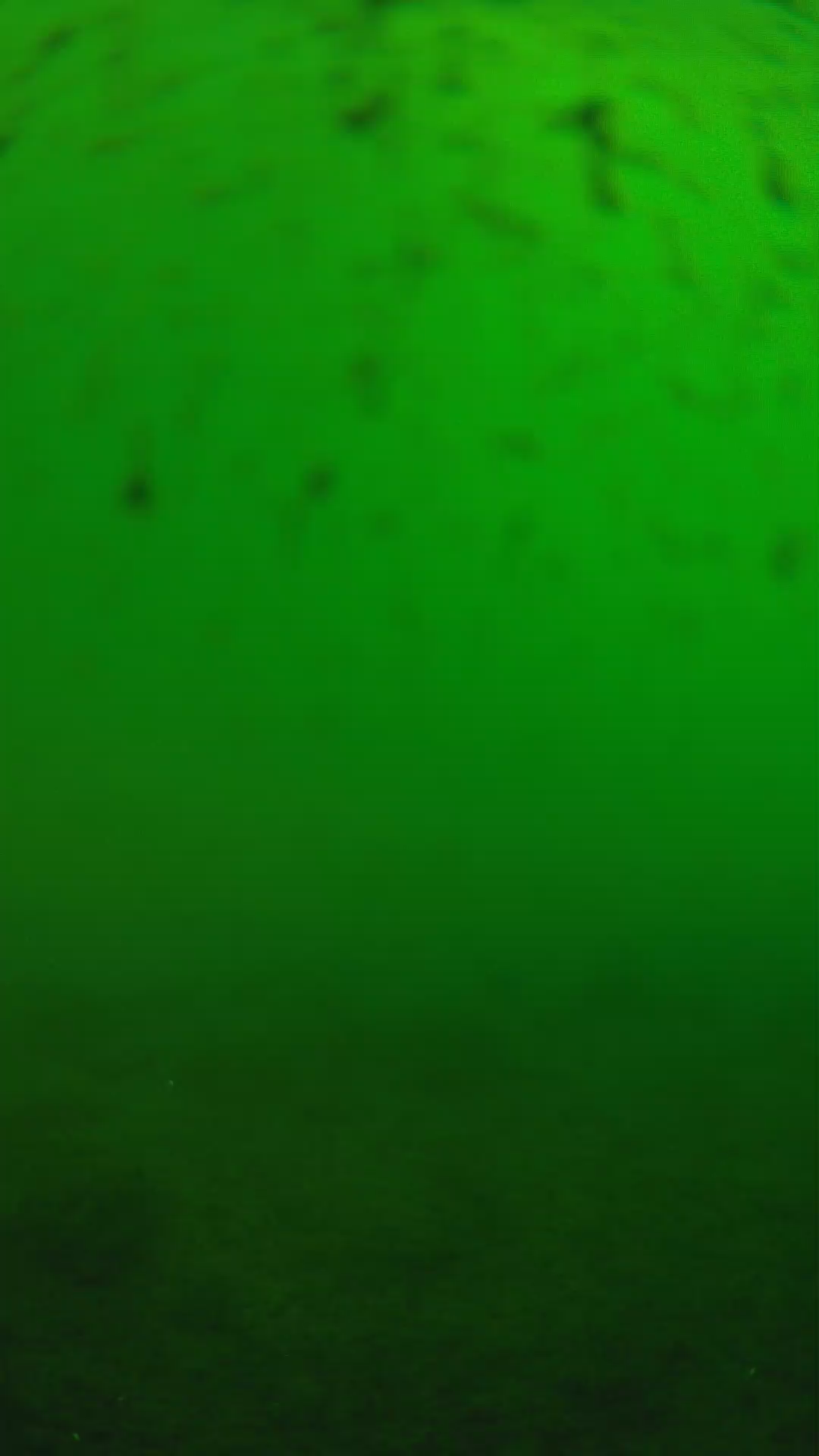 lander_ipcam_20240625160555.png