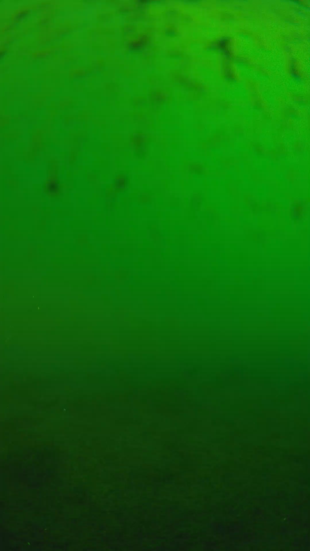 lander_ipcam_20240625160557.png