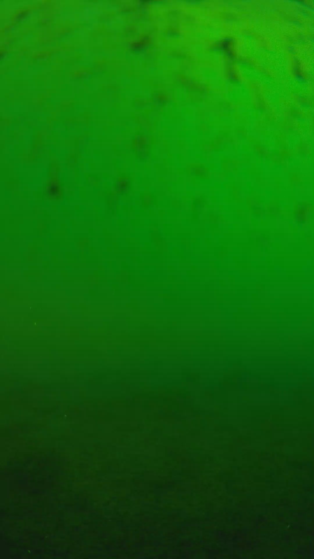 lander_ipcam_20240625160558.png