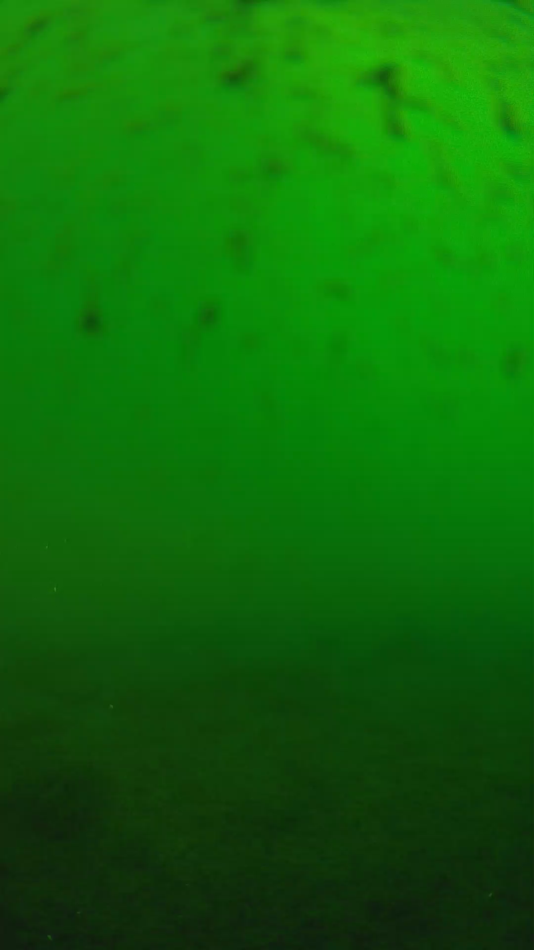 lander_ipcam_20240625160600.png