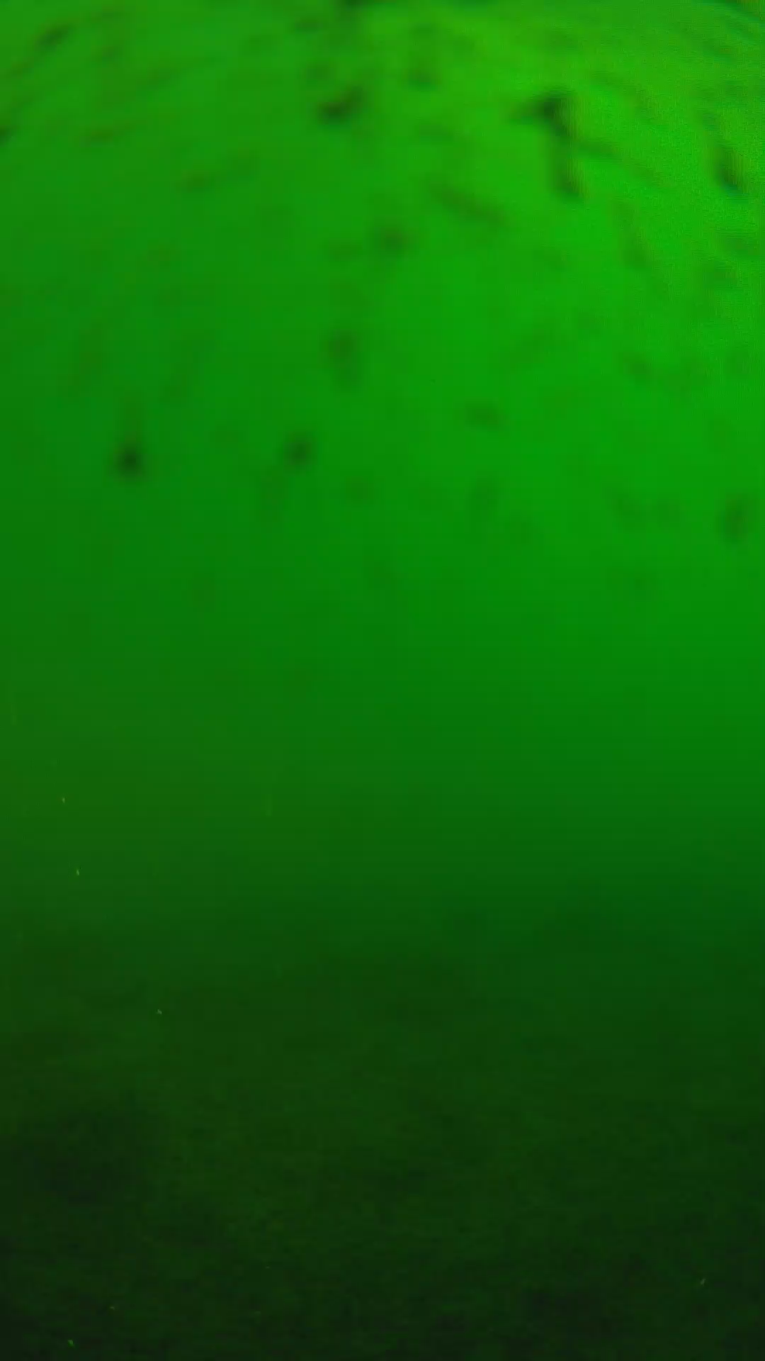 lander_ipcam_20240625160601.png