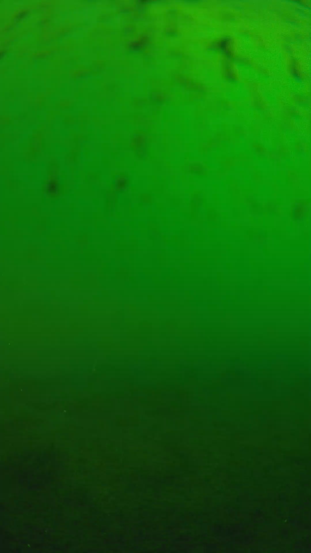 lander_ipcam_20240625160604.png