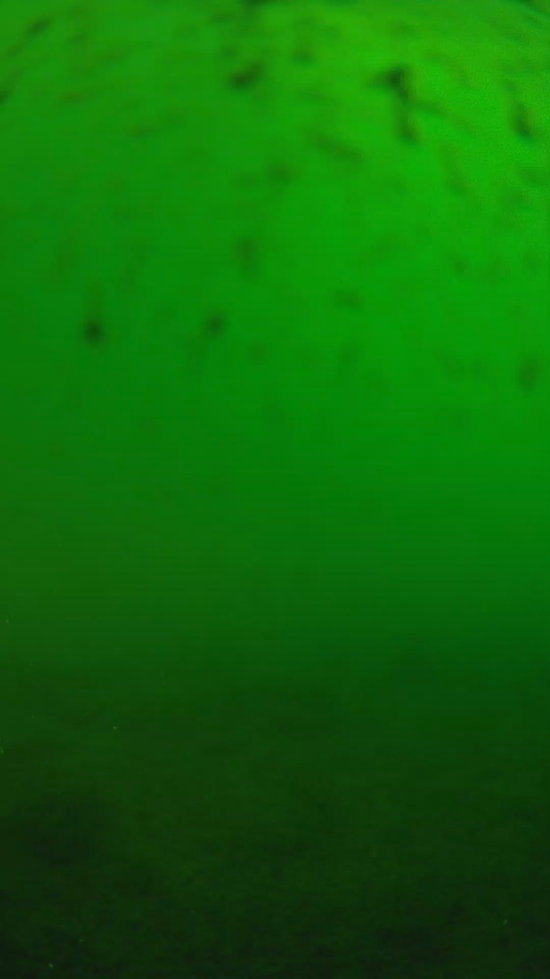 lander_ipcam_20240625160605.png