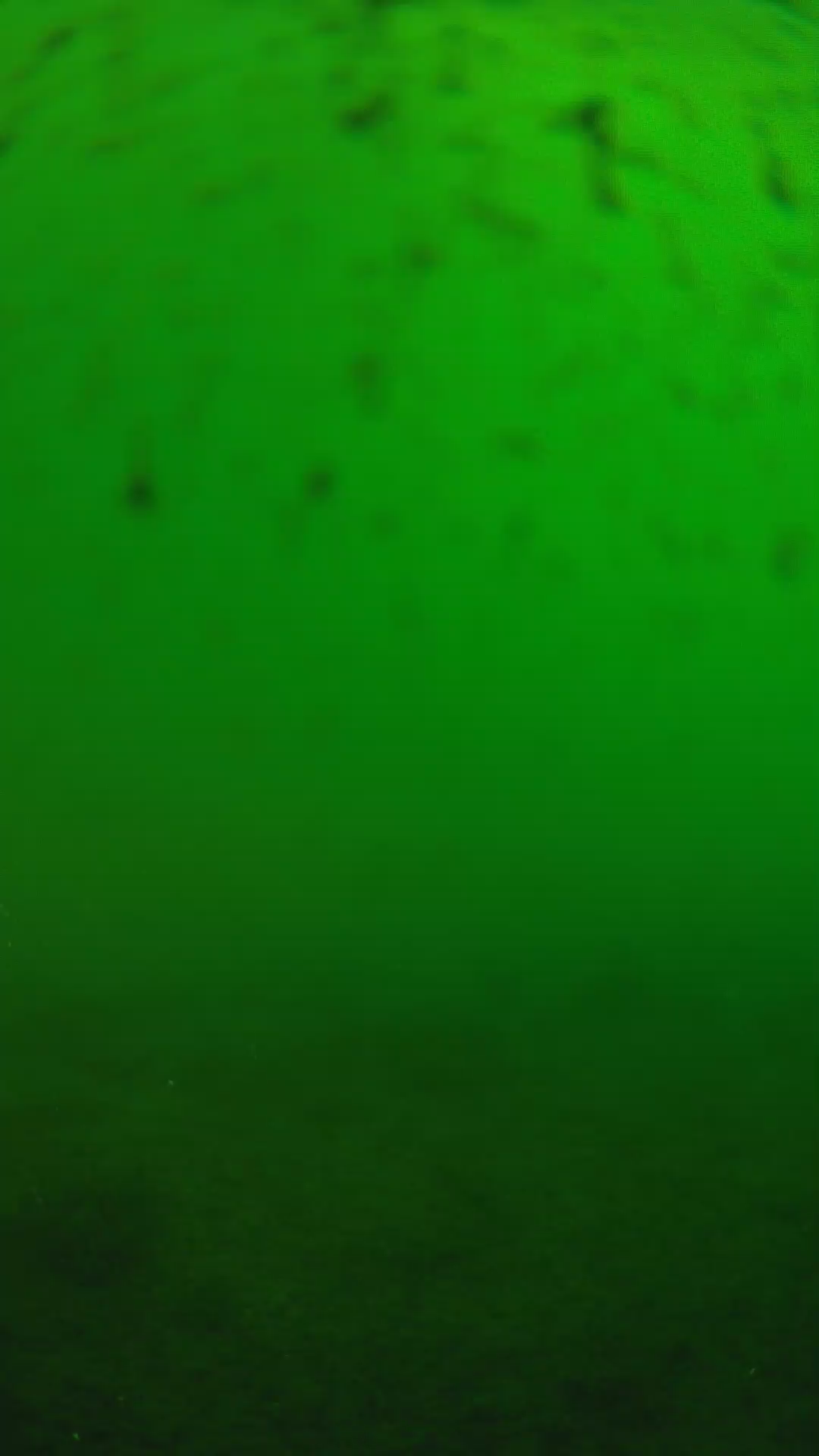 lander_ipcam_20240625160606.png