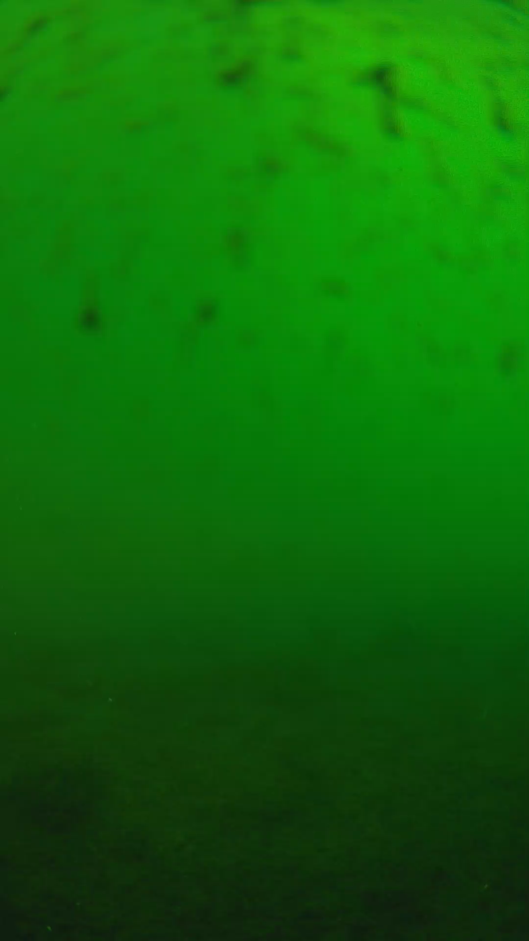 lander_ipcam_20240625160608.png