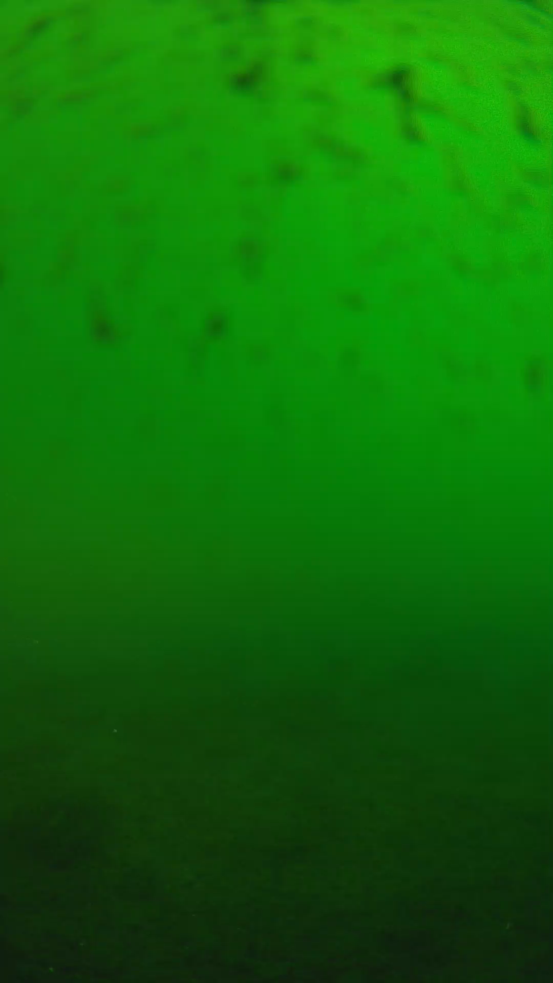 lander_ipcam_20240625163540.png