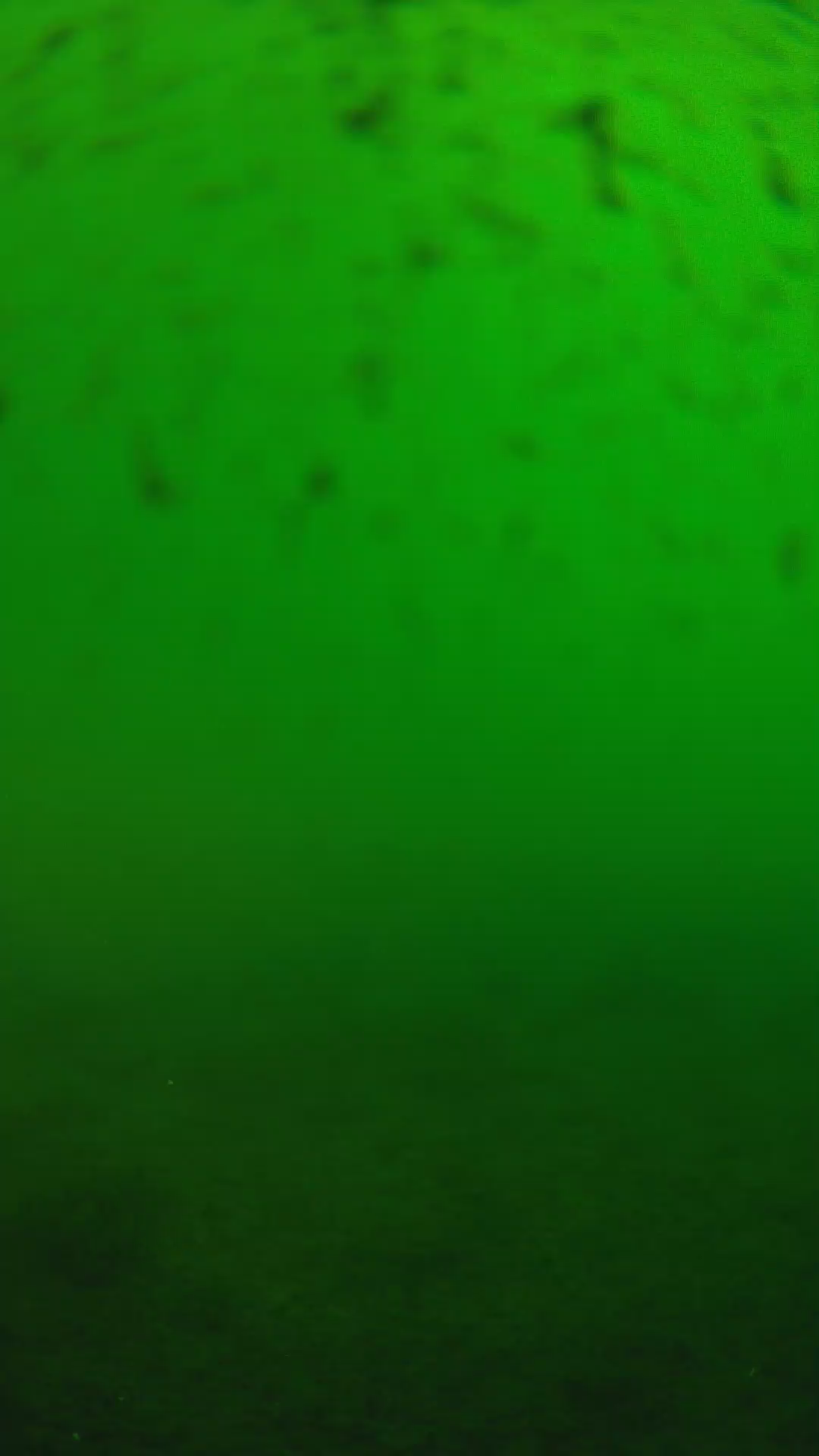 lander_ipcam_20240625163544.png
