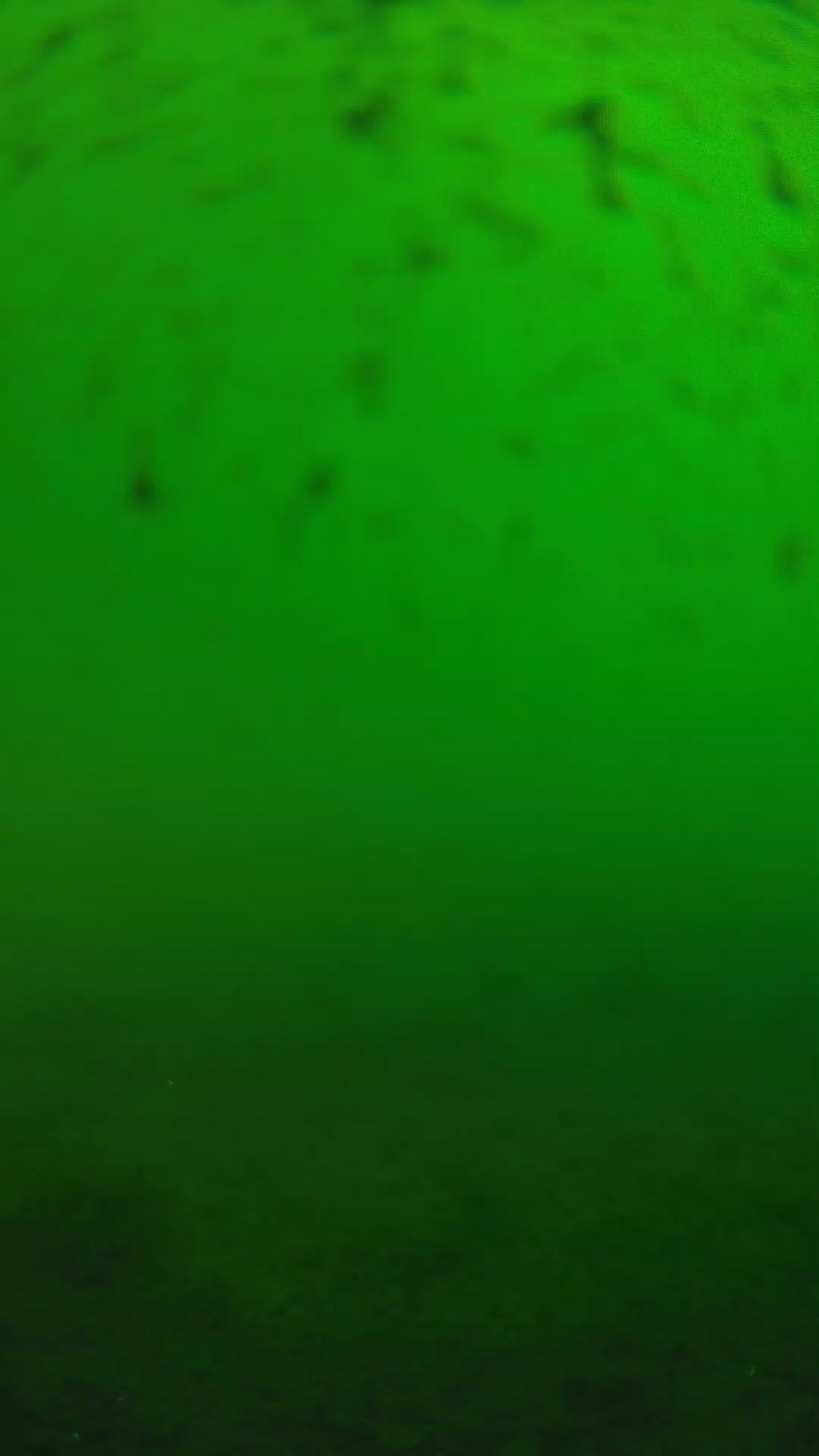 lander_ipcam_20240625163549.png