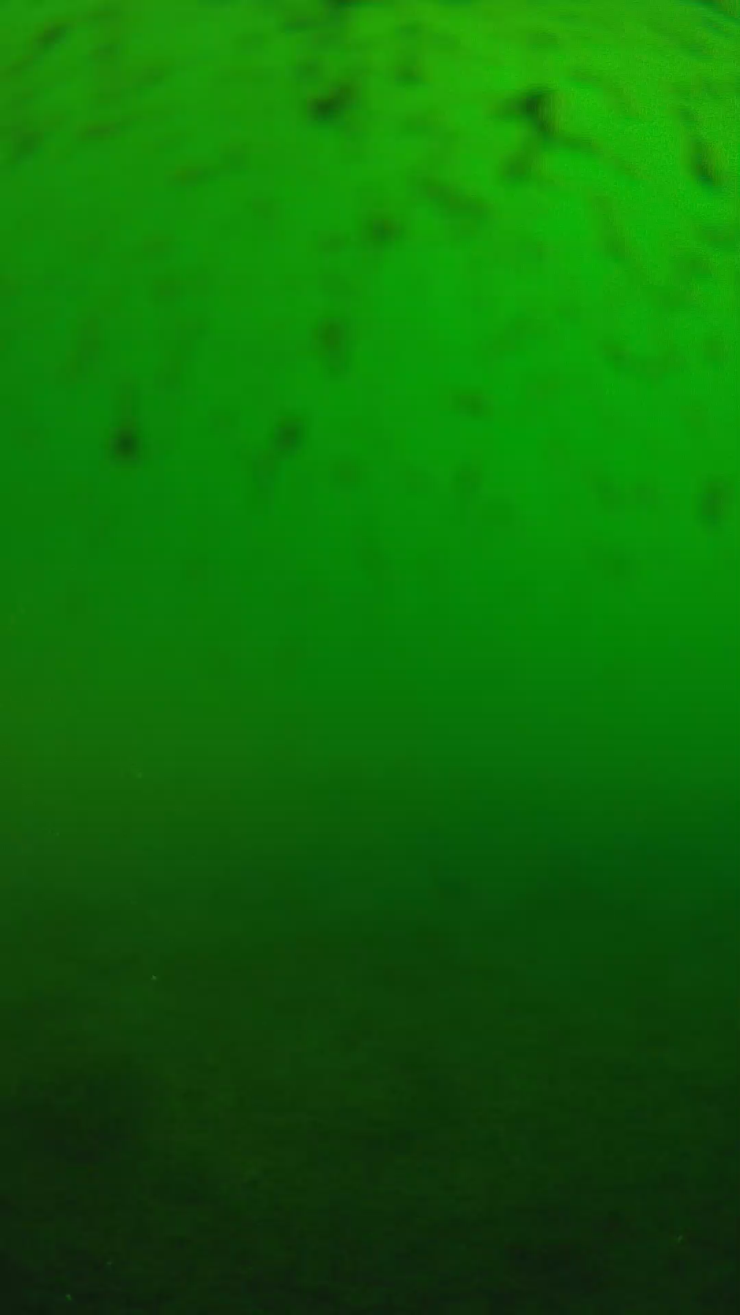 lander_ipcam_20240625163554.png