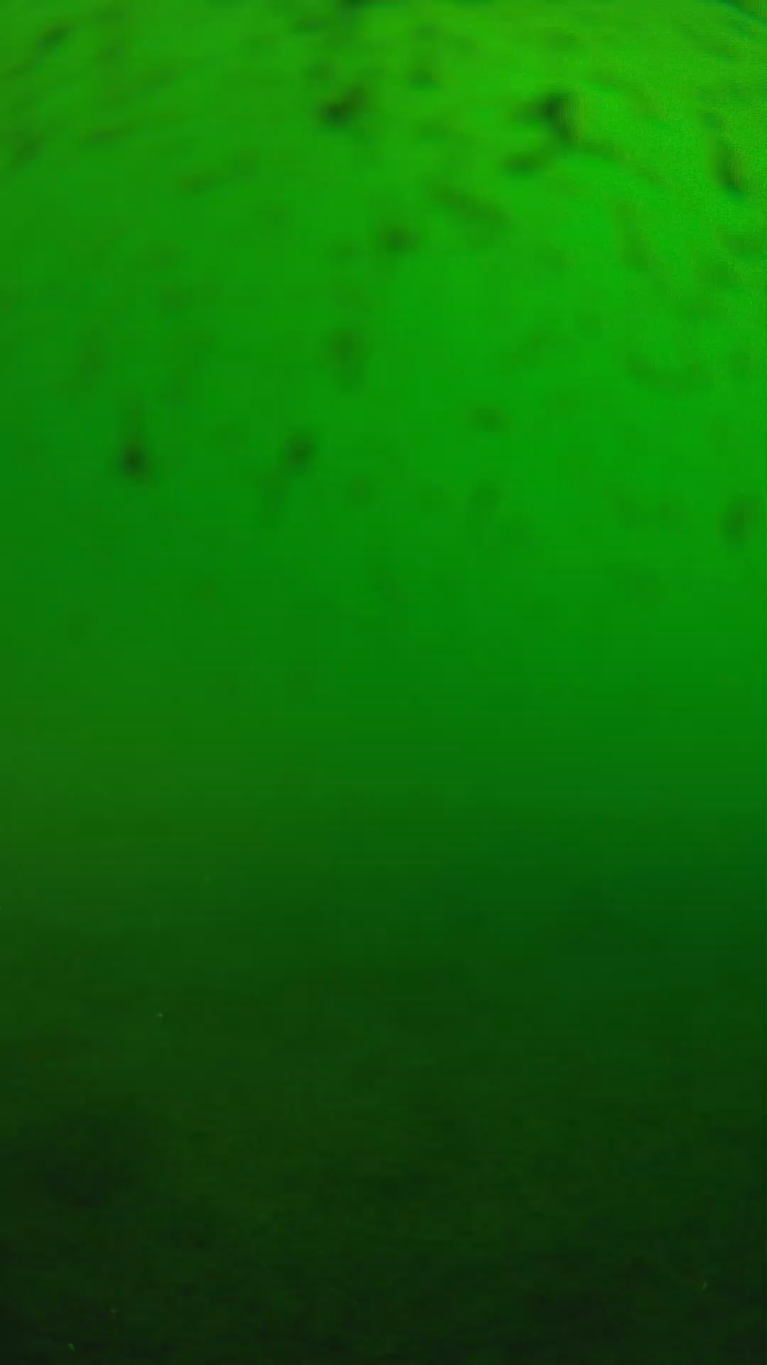 lander_ipcam_20240625163555.png