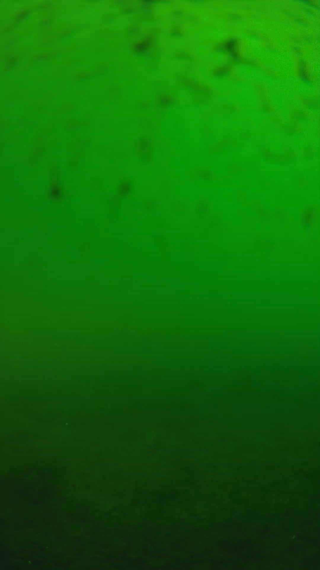 lander_ipcam_20240625163557.png