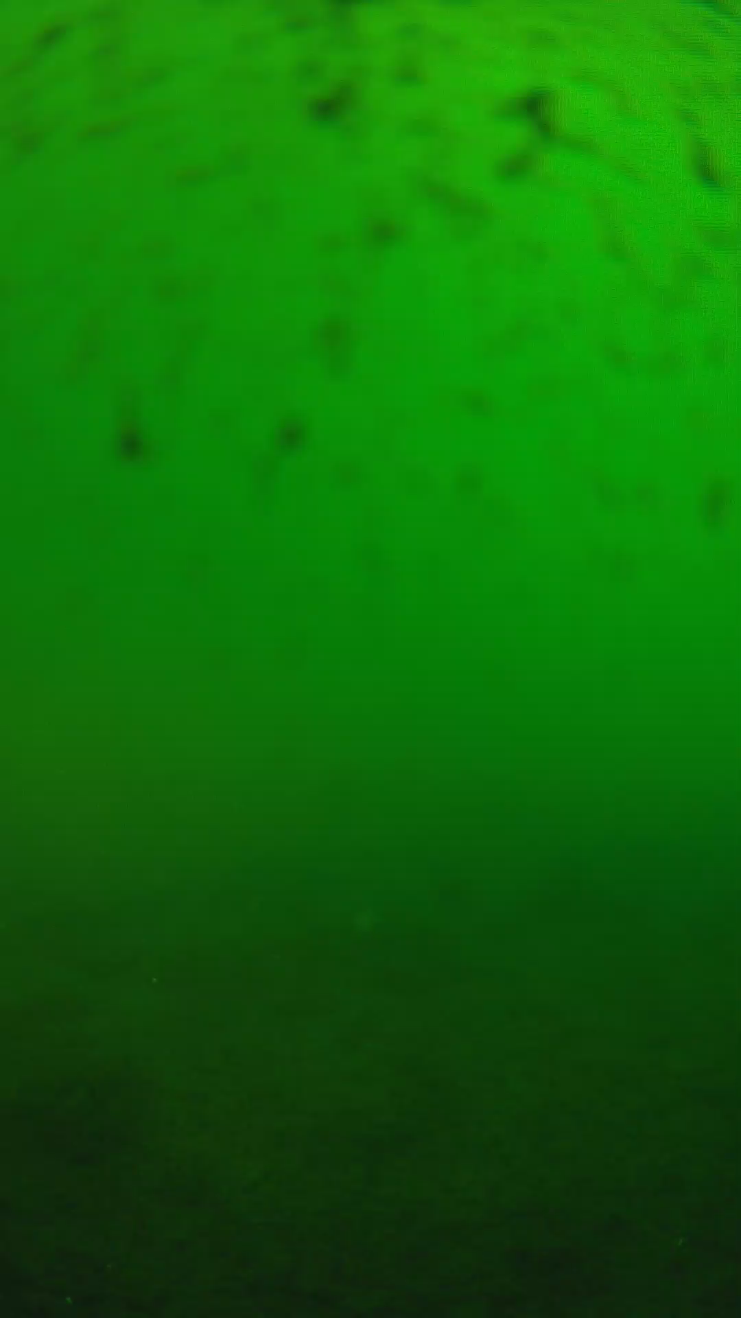lander_ipcam_20240625163558.png