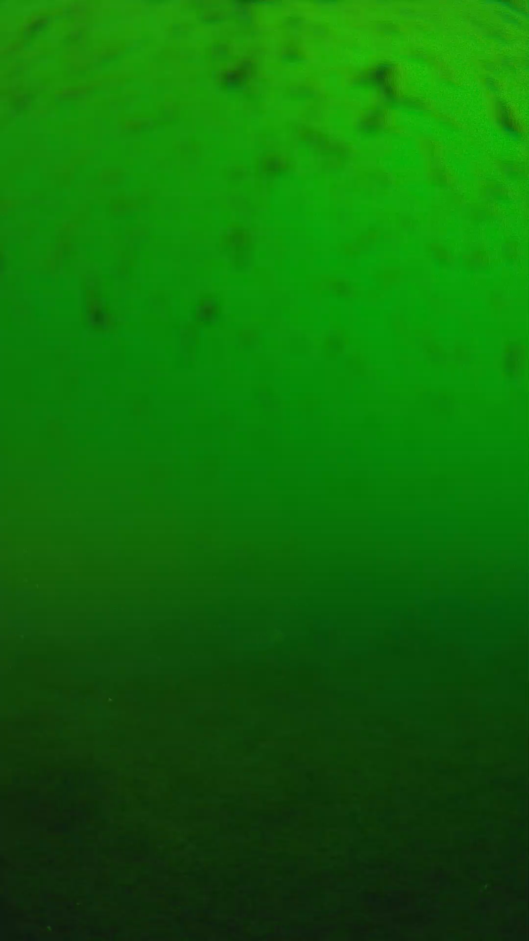 lander_ipcam_20240625163559.png