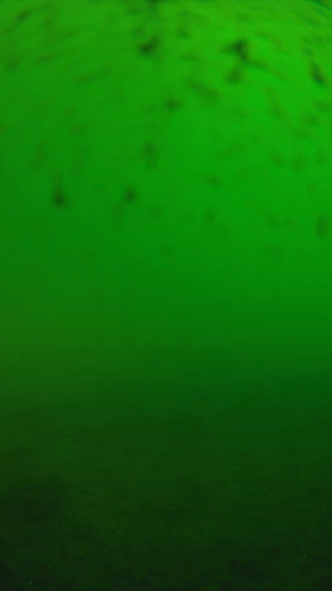 lander_ipcam_20240625163602.png