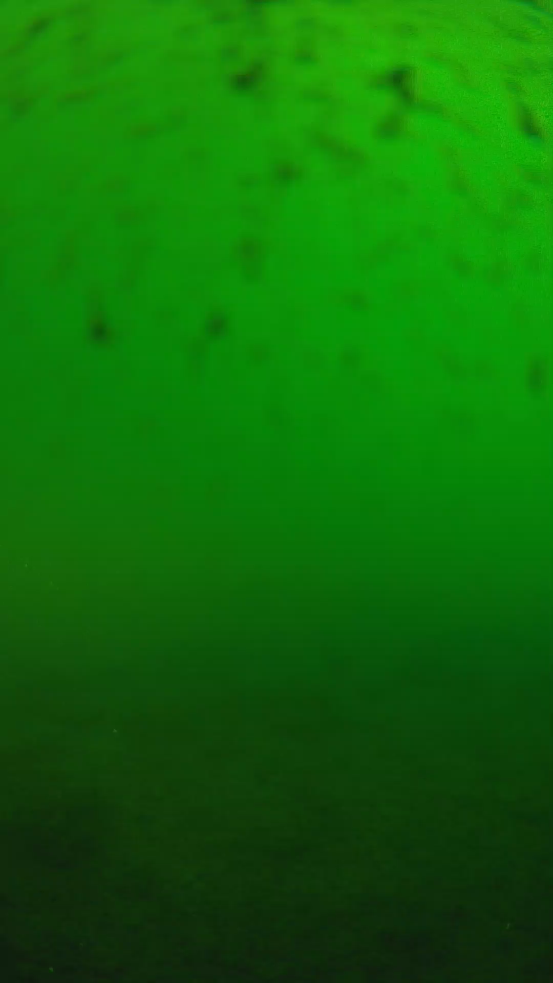 lander_ipcam_20240625163603.png